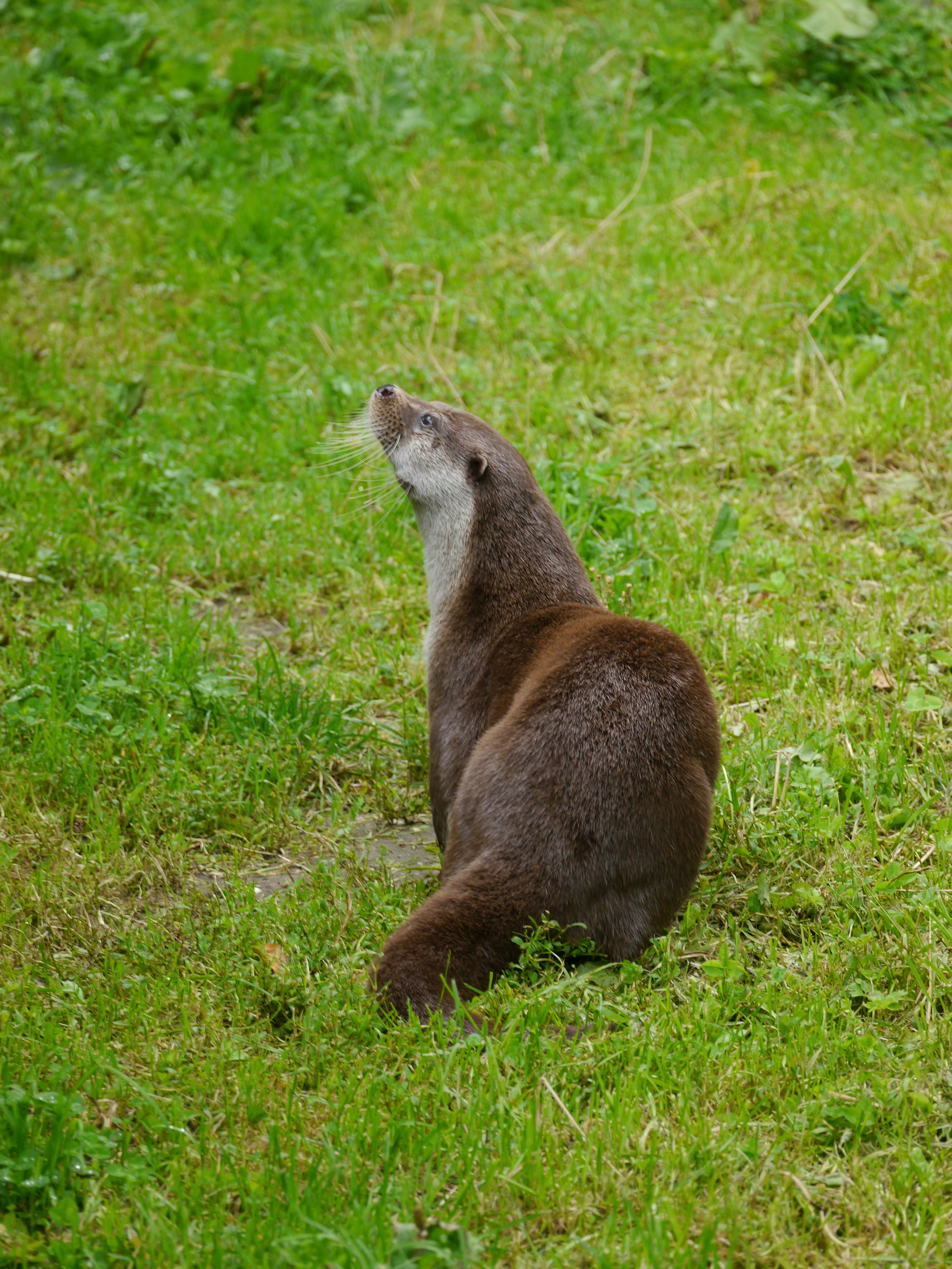 Photo by iqsphotography