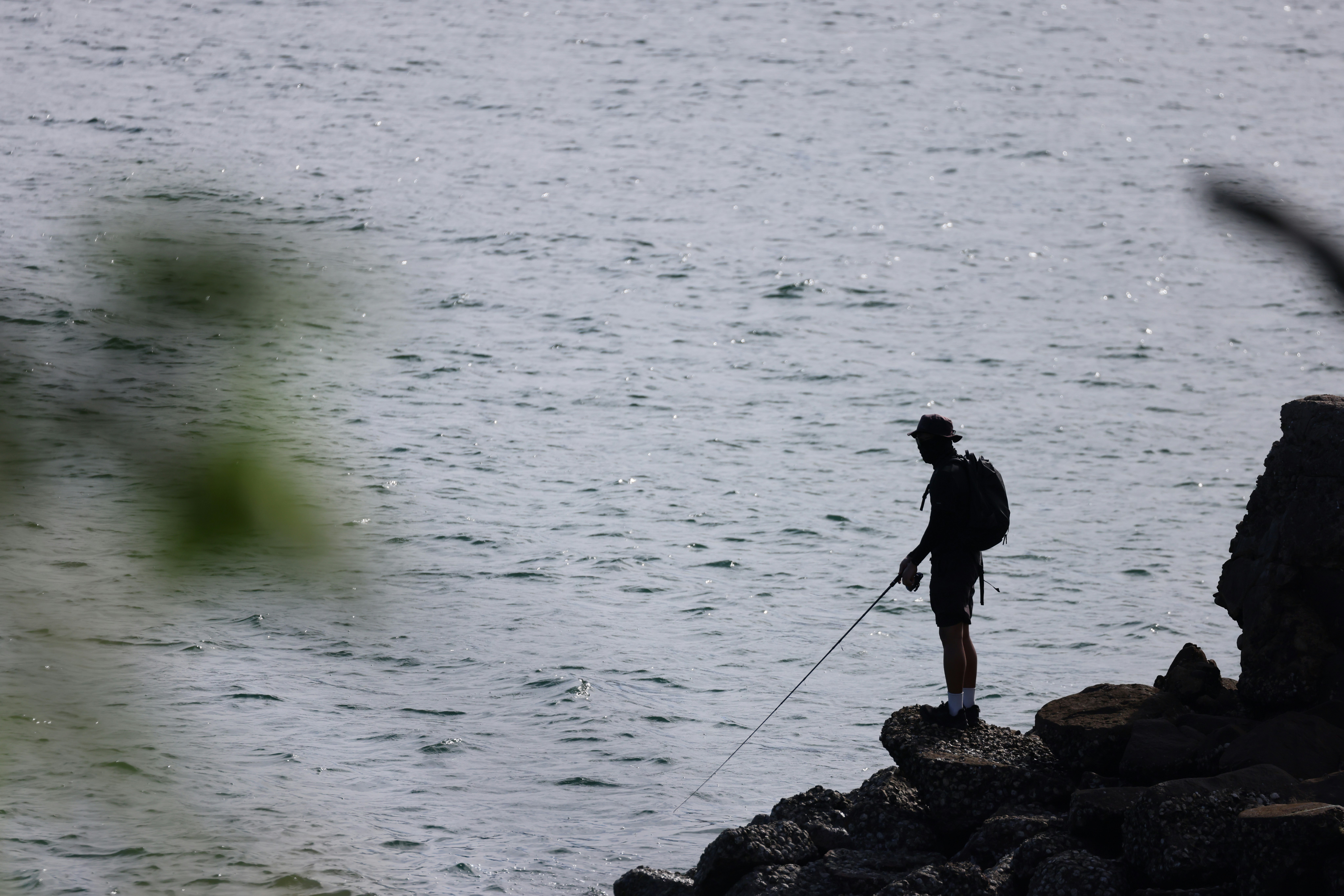 Photo by dickenslin76