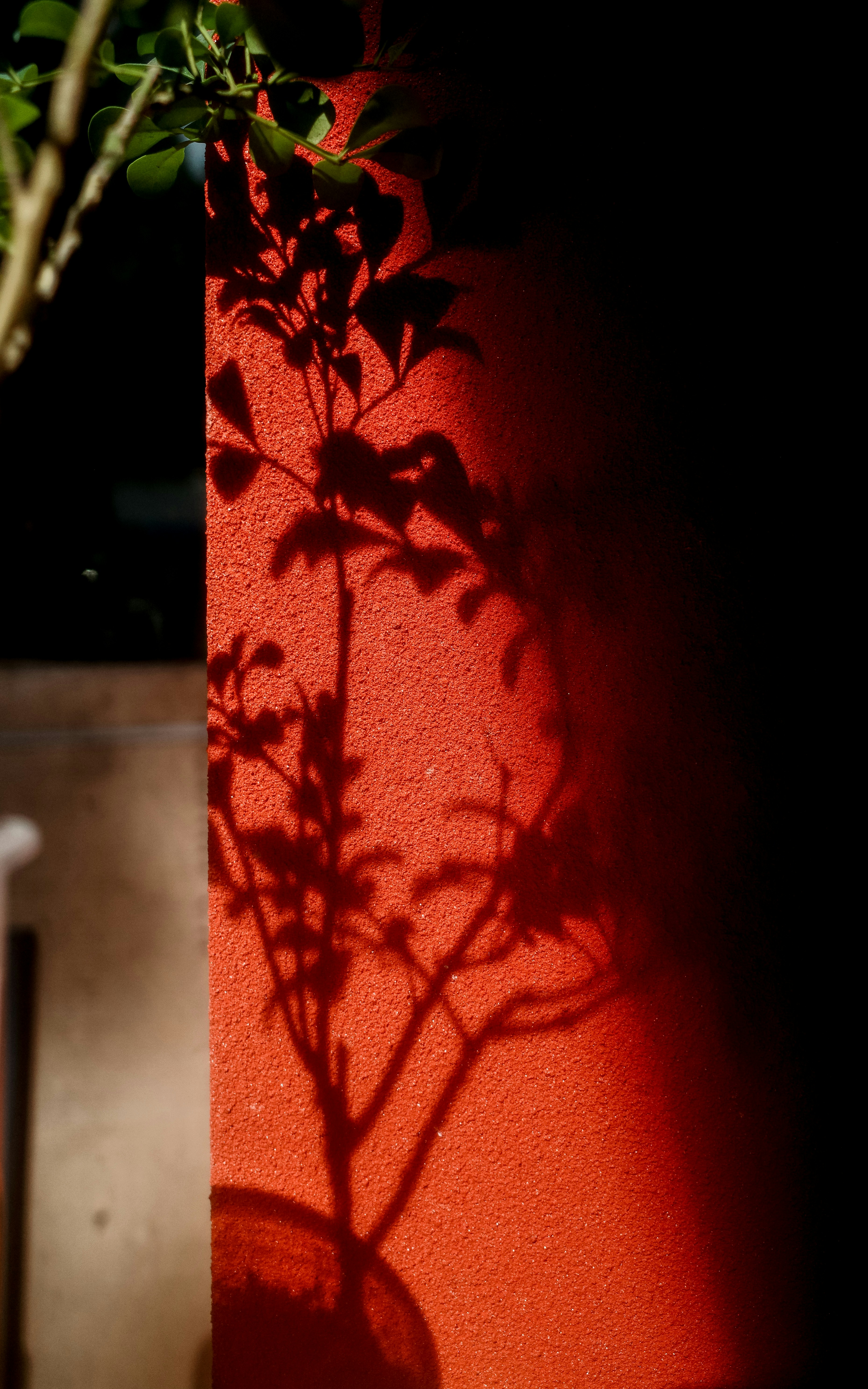 Photo by dickenslin76