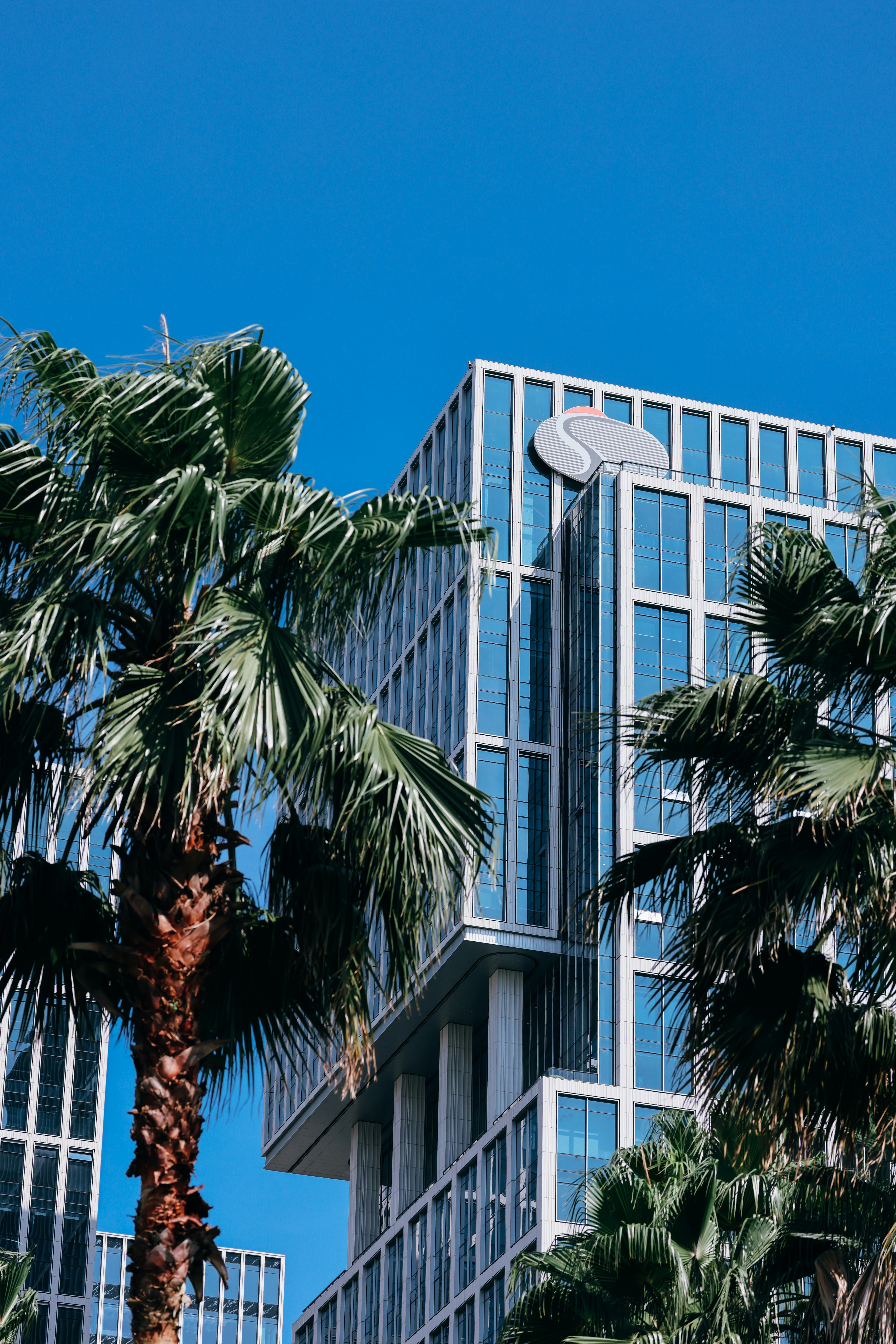 Photo by dickenslin76