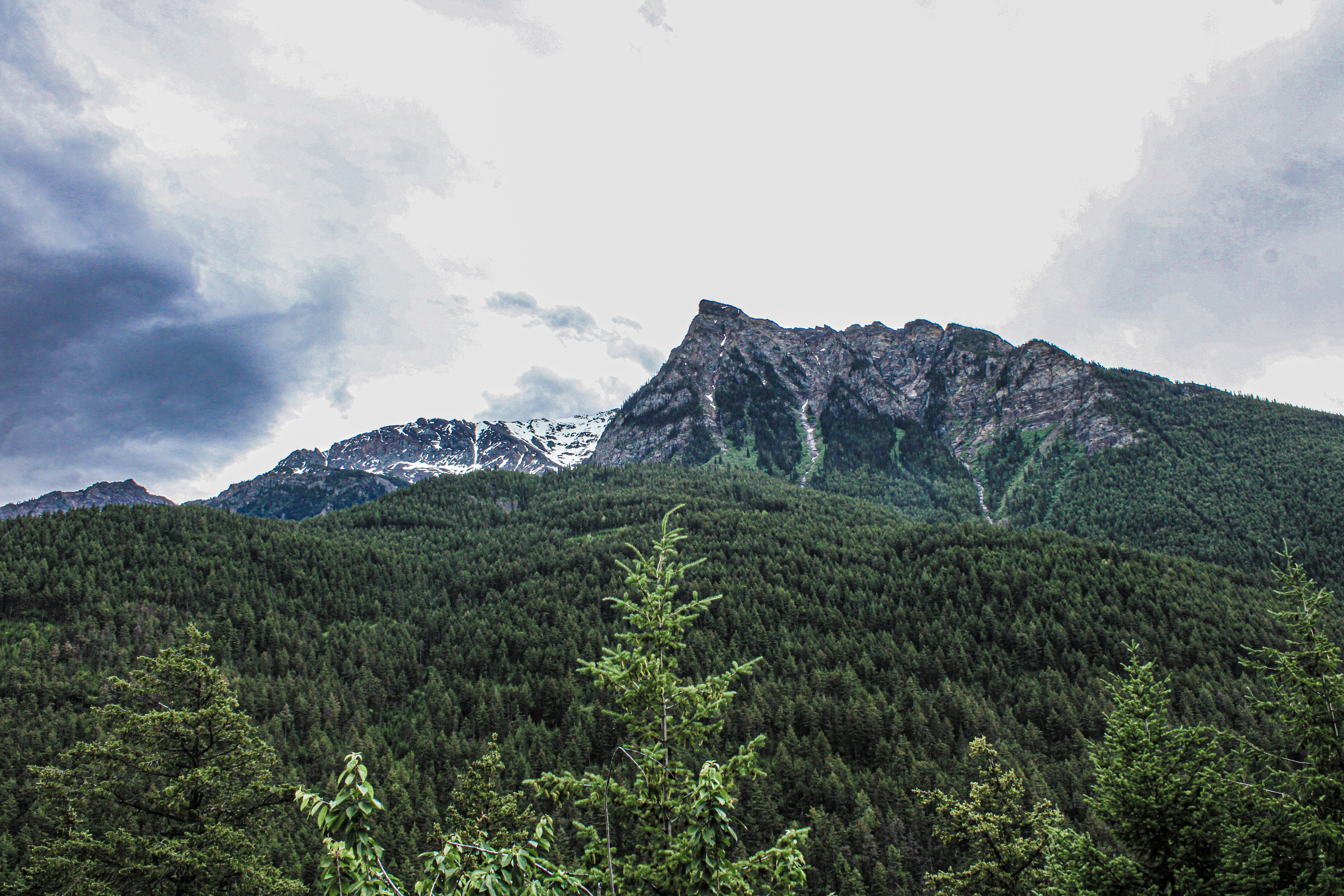 Photo by prphotography262