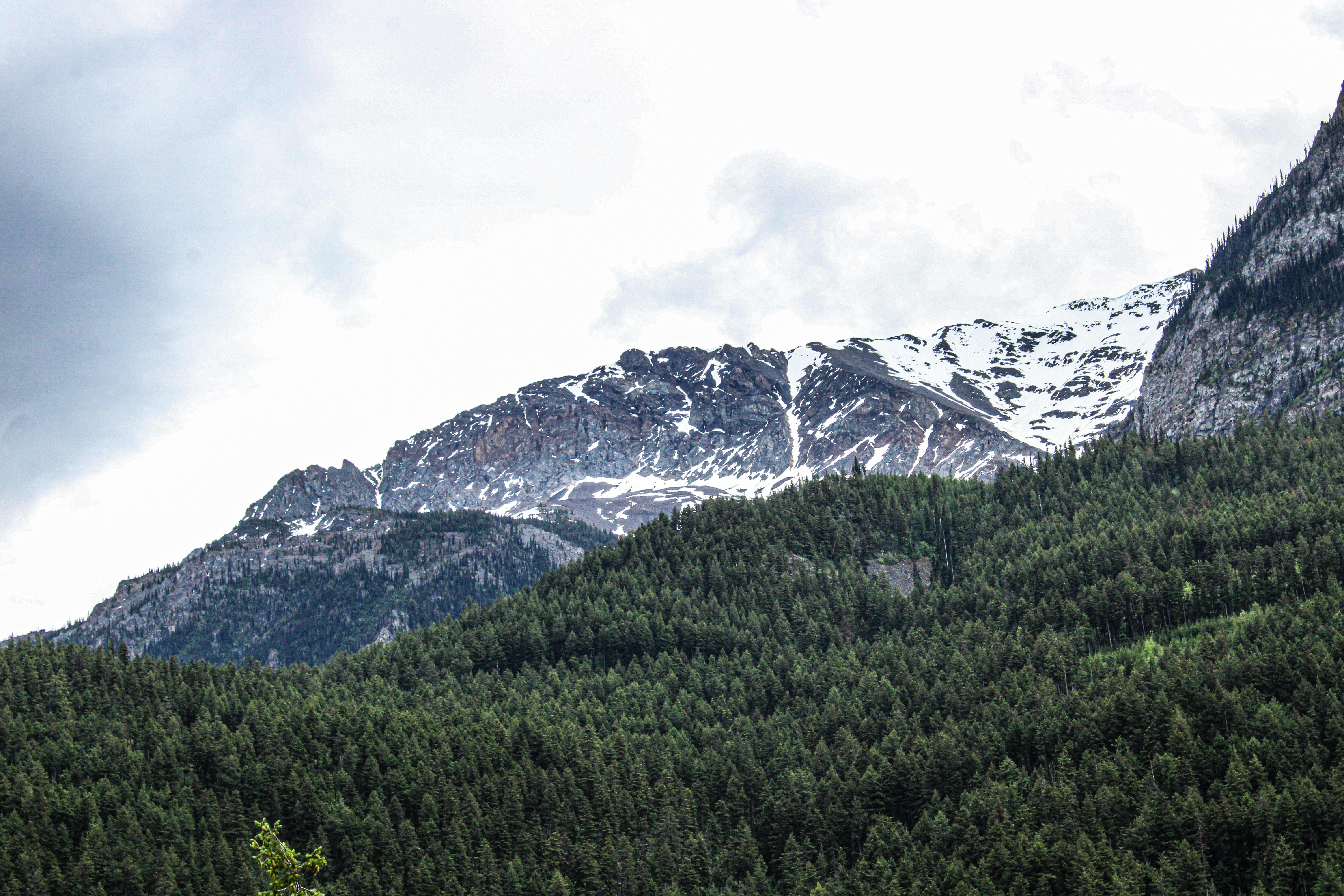 Photo by prphotography262