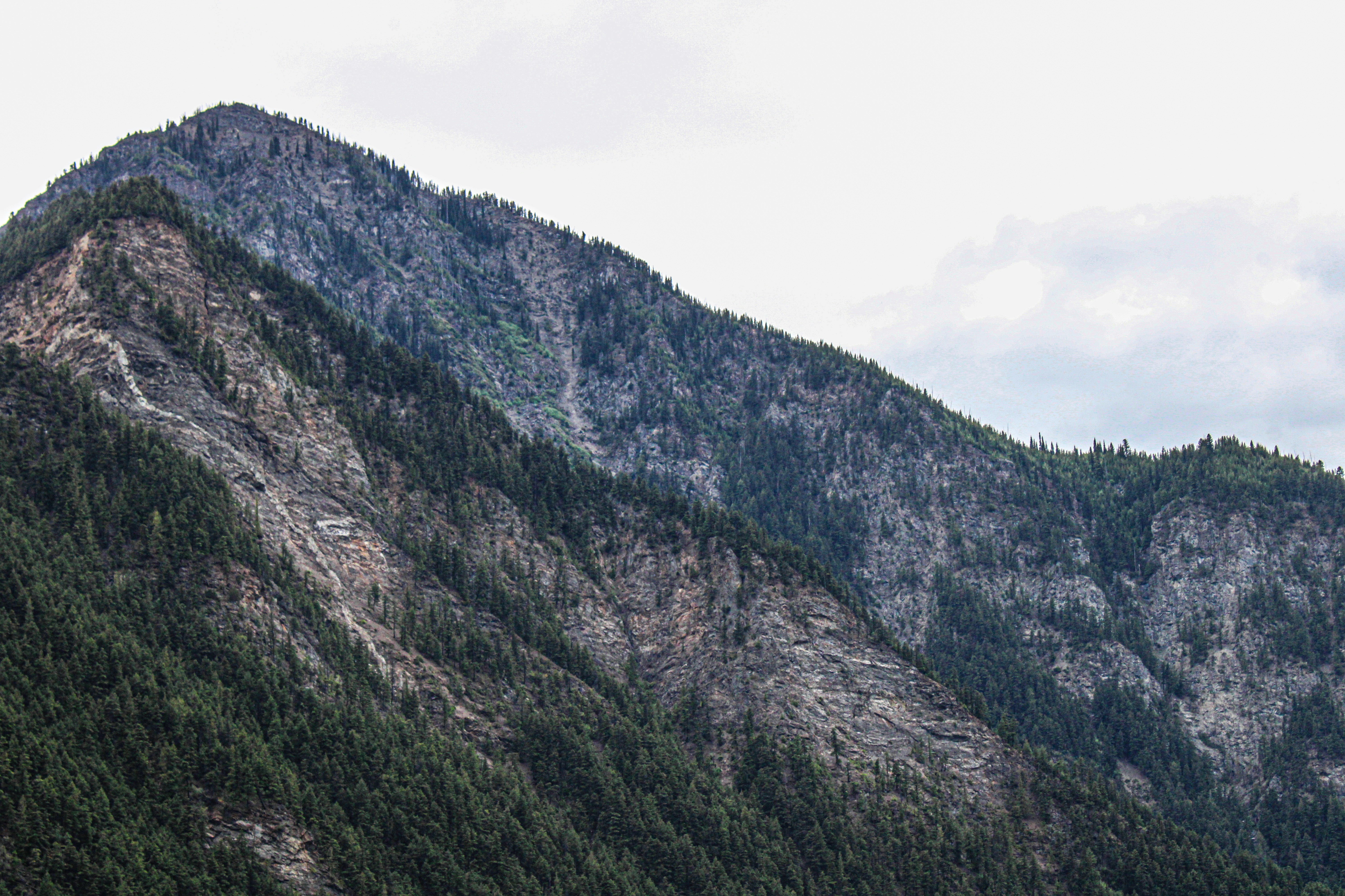 Photo by prphotography262