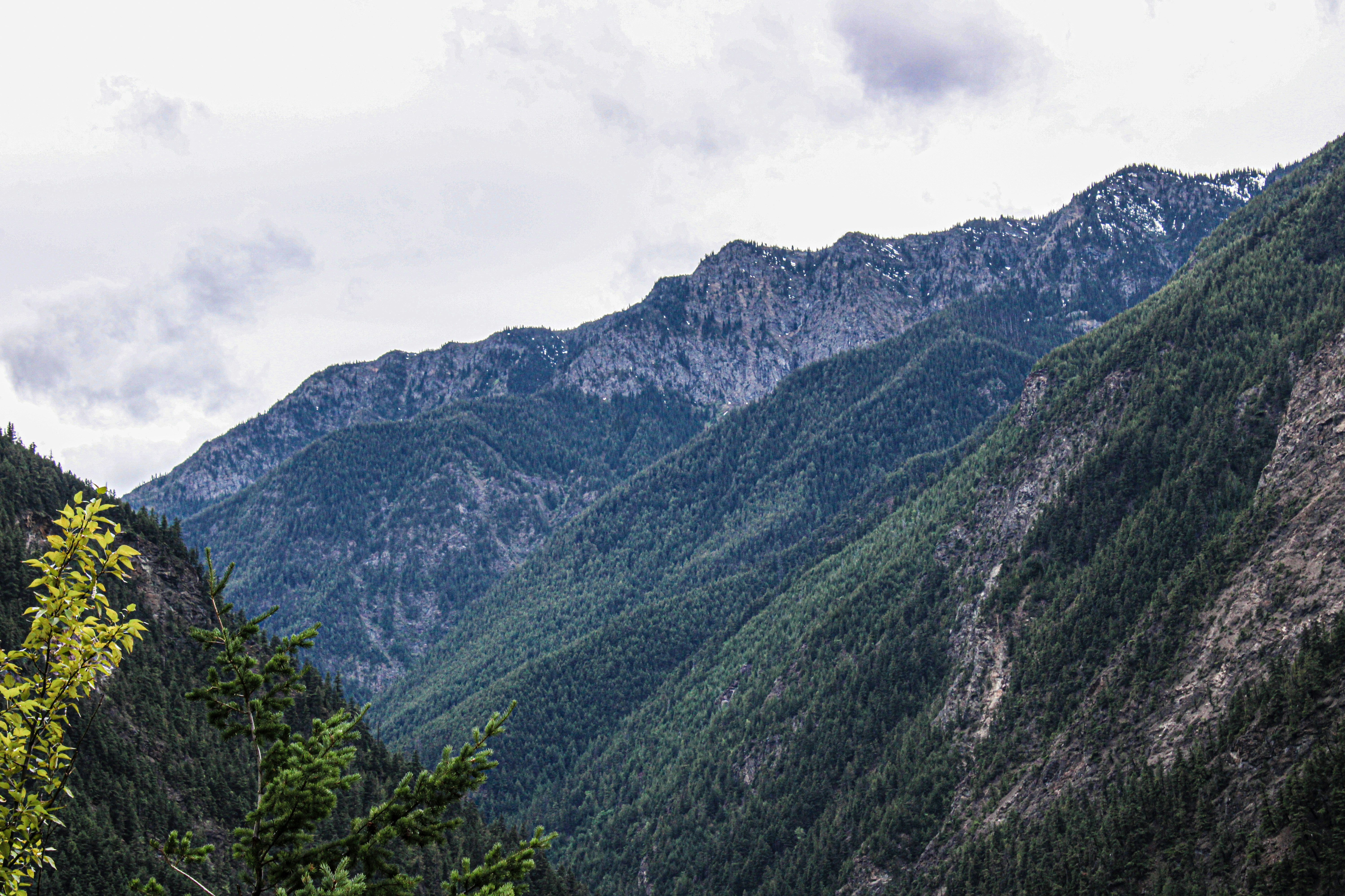 Photo by prphotography262