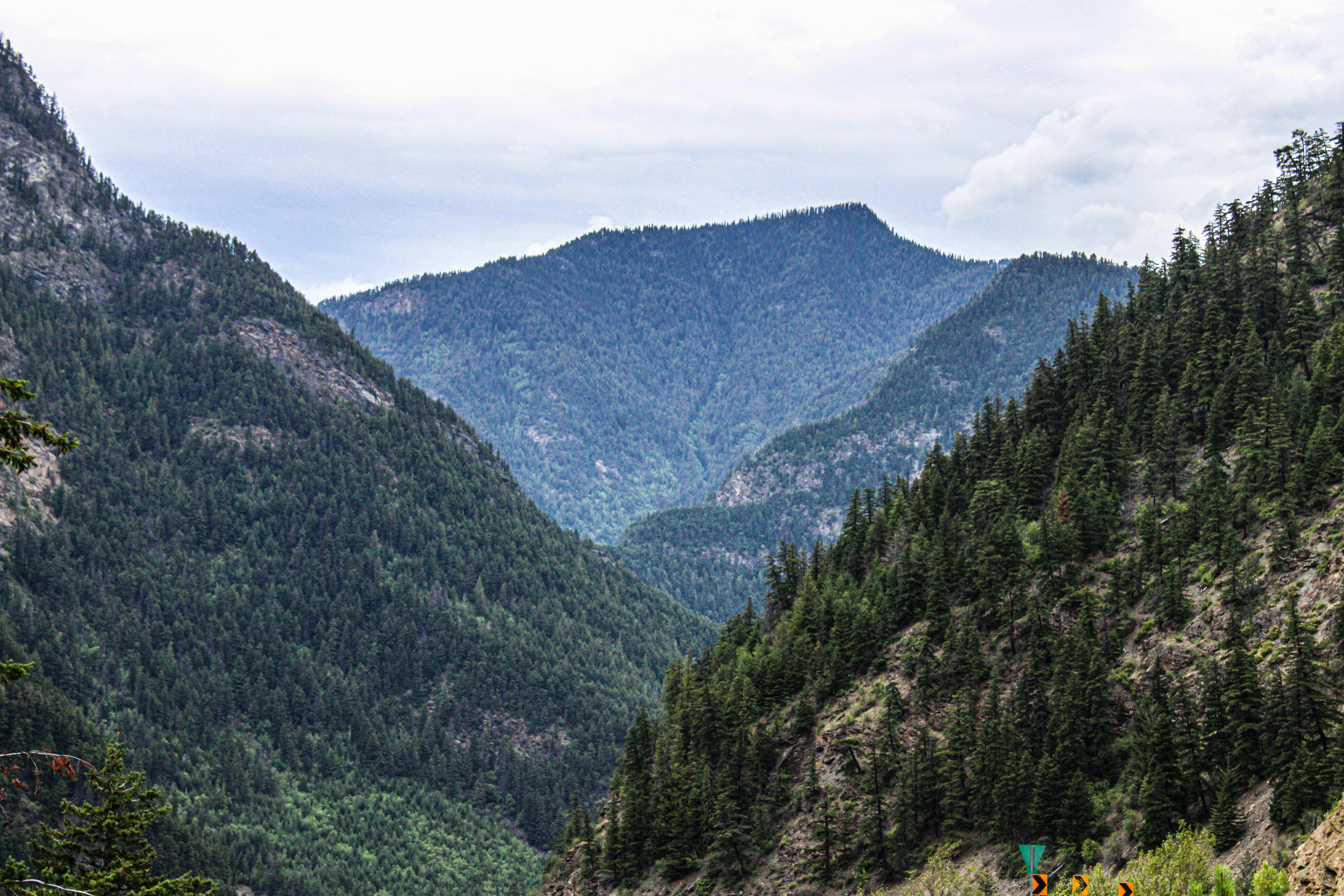 Photo by prphotography262