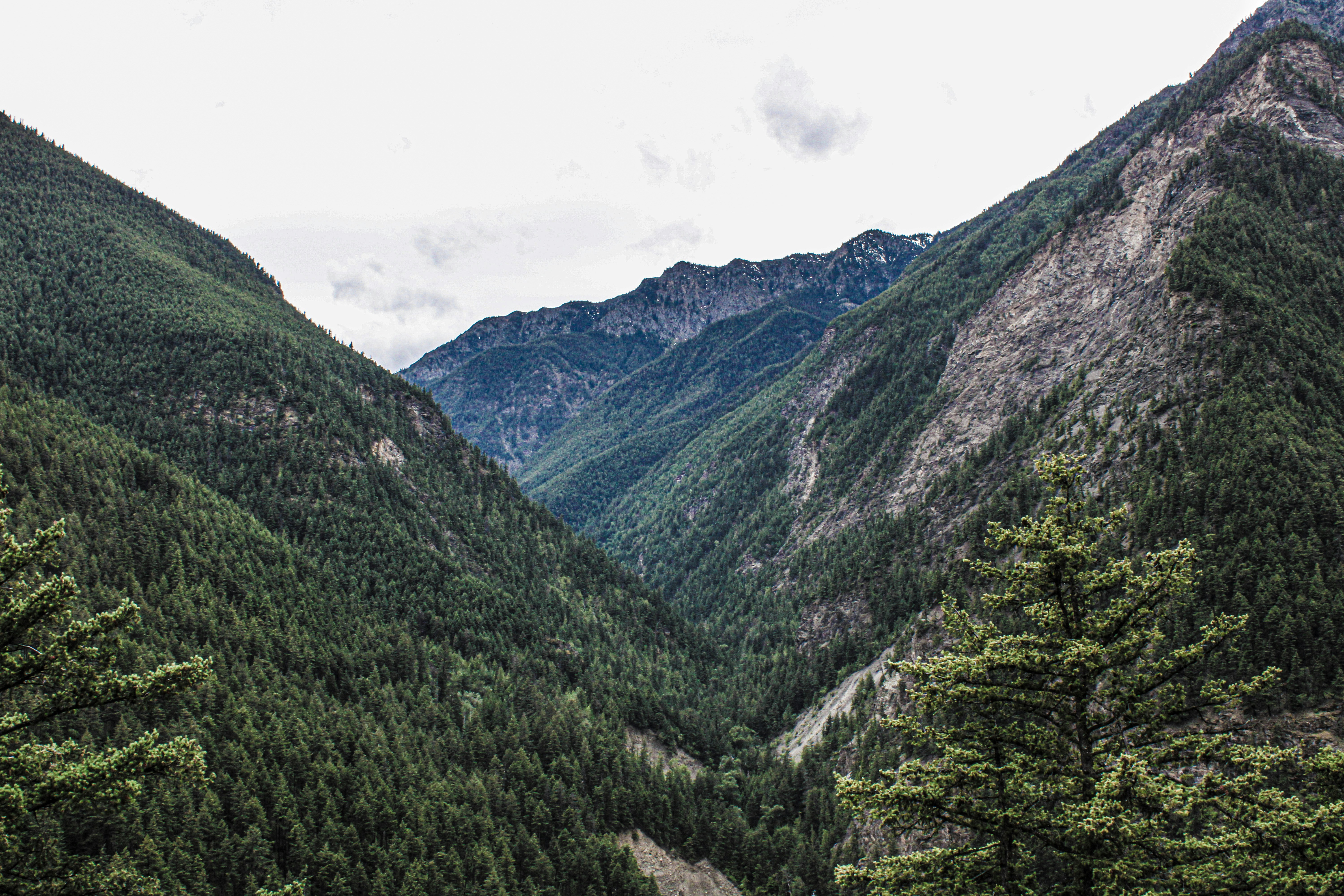 Photo by prphotography262