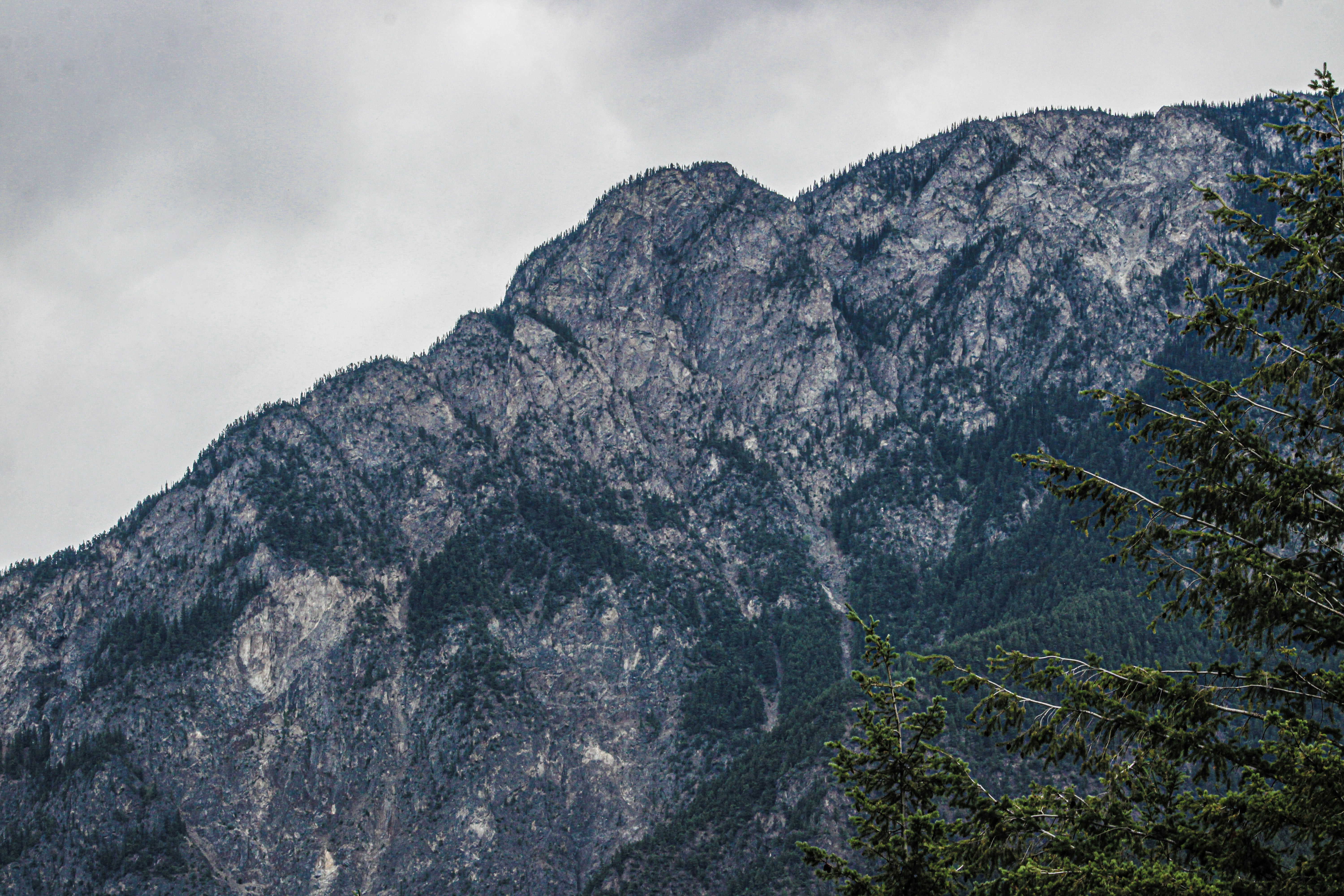 Photo by prphotography262