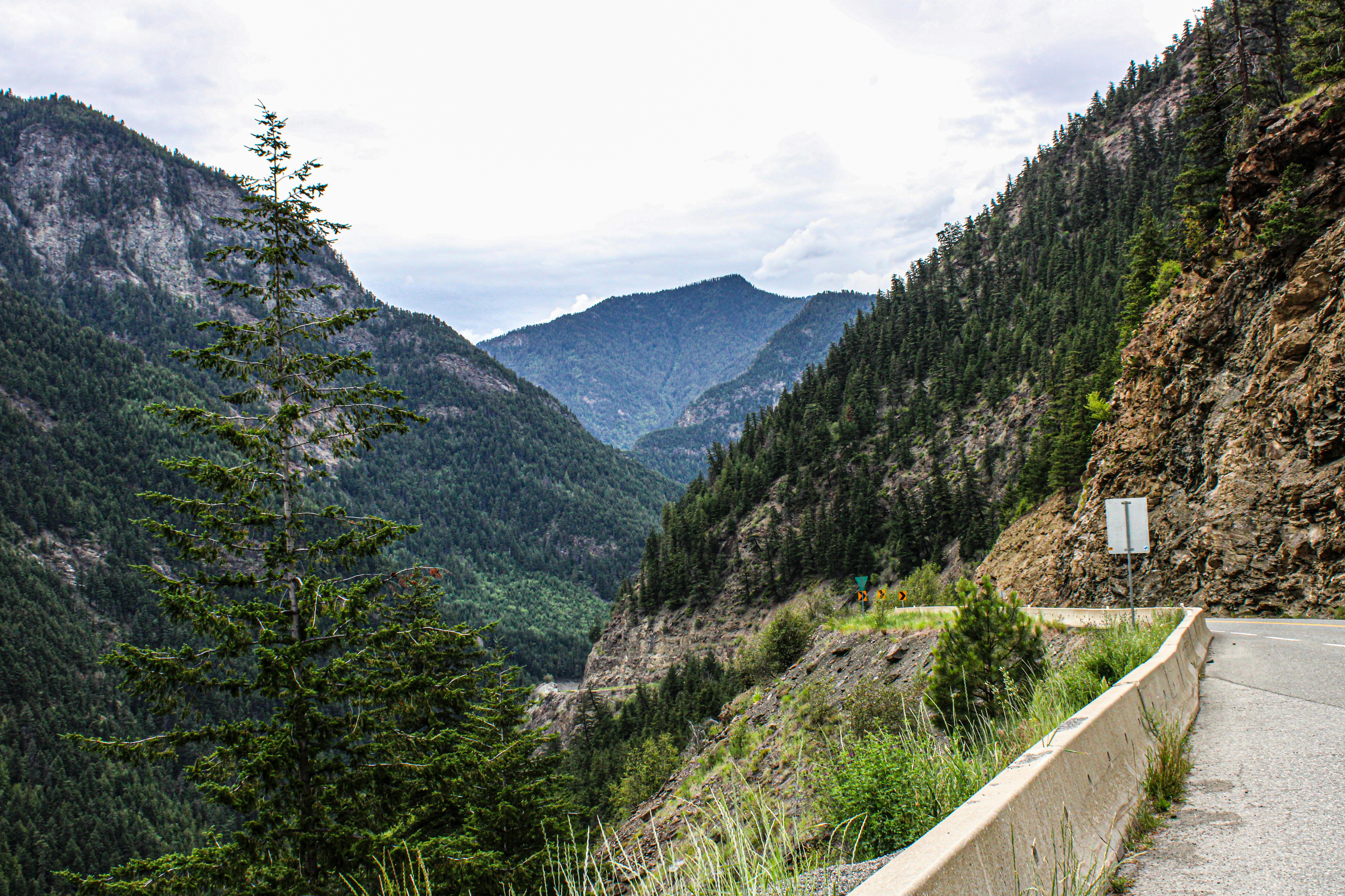 Photo by prphotography262