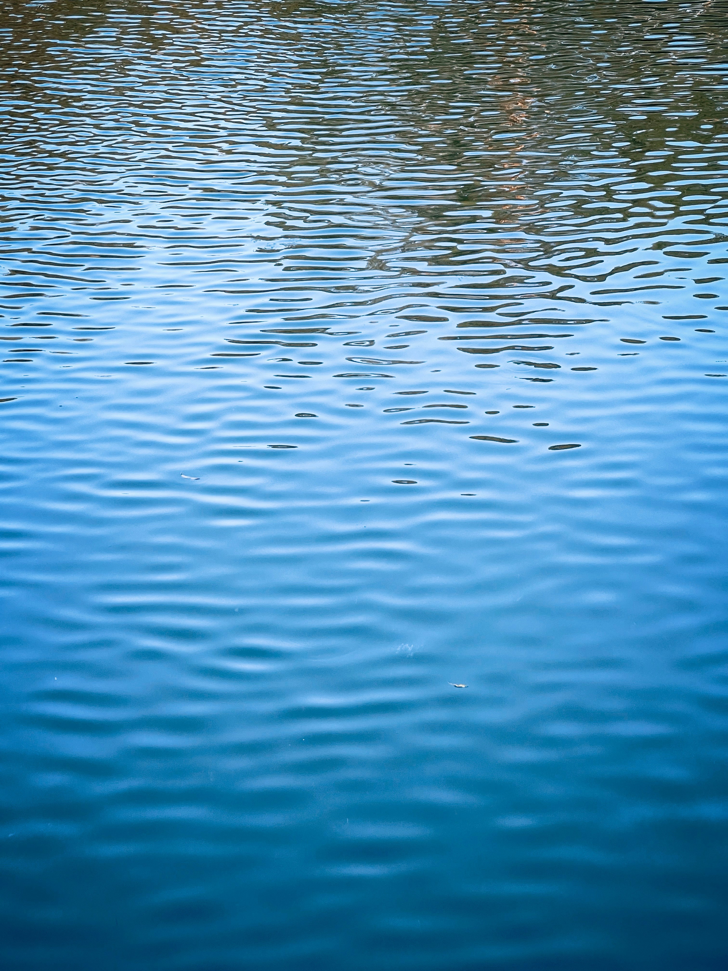 Photo by stephenkon9