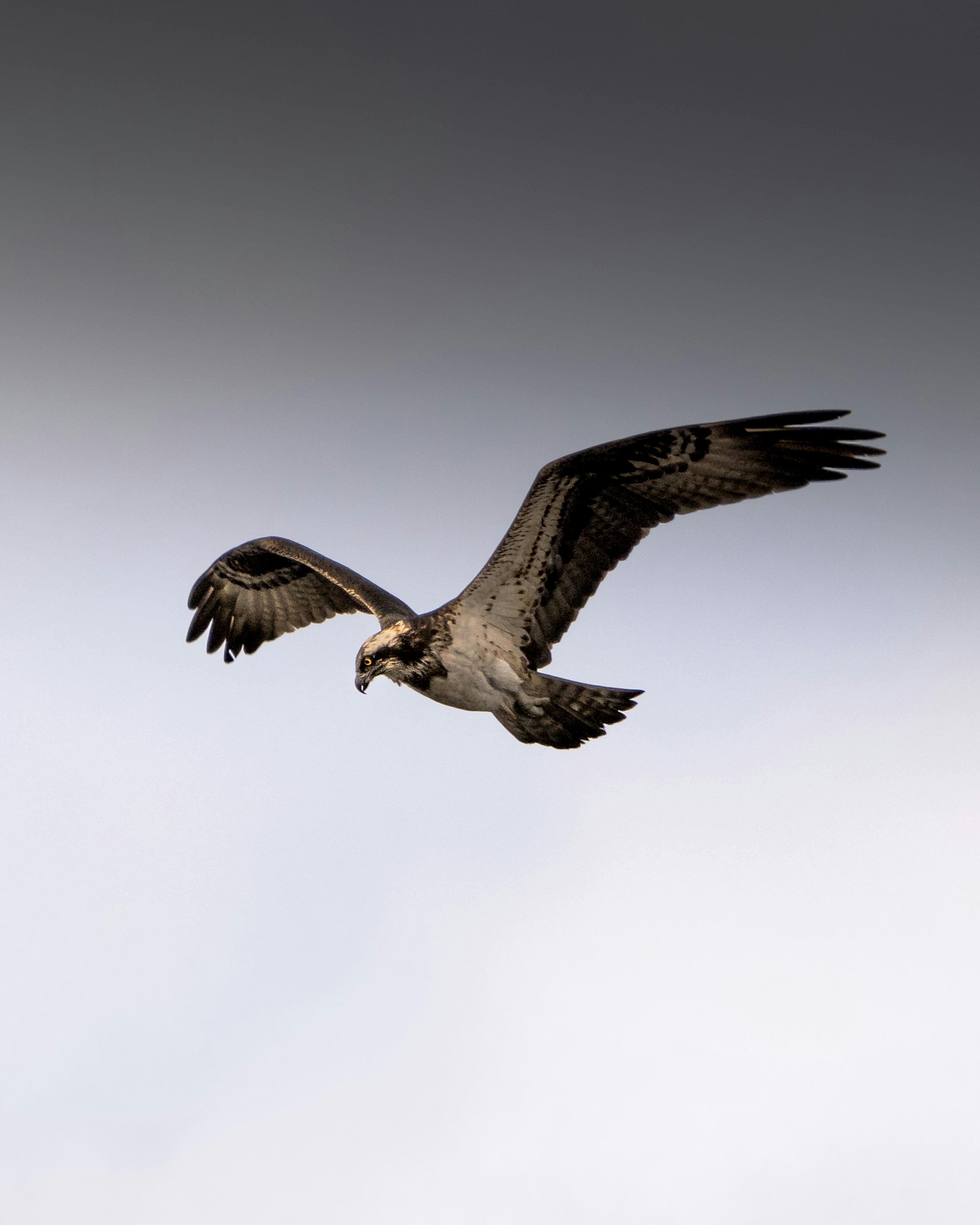 ランウェイ・ジェネレーション3のプロンプトのマスタリング：包括的なガイド