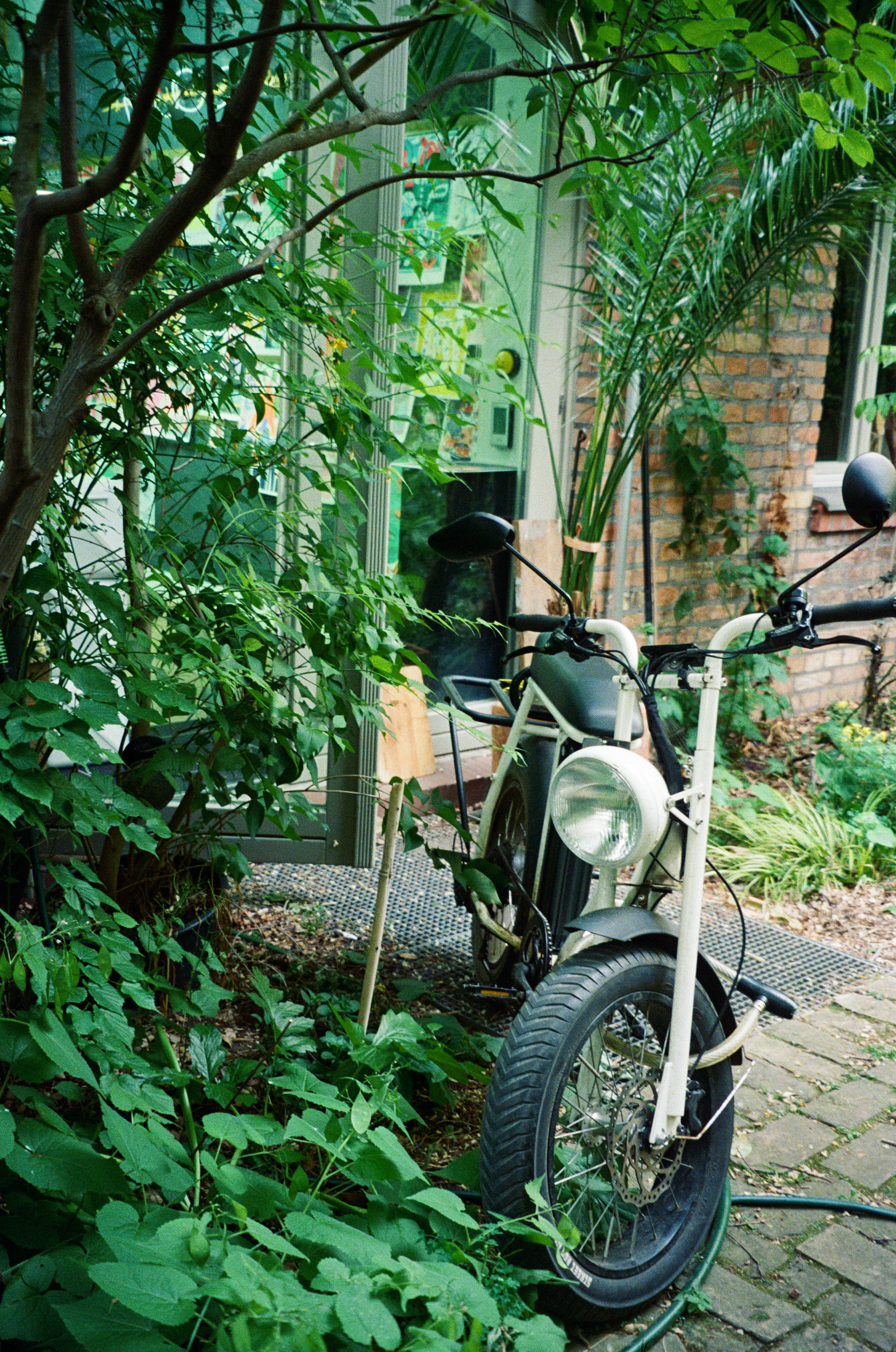 A motorcycle parked next to a tree in a garden