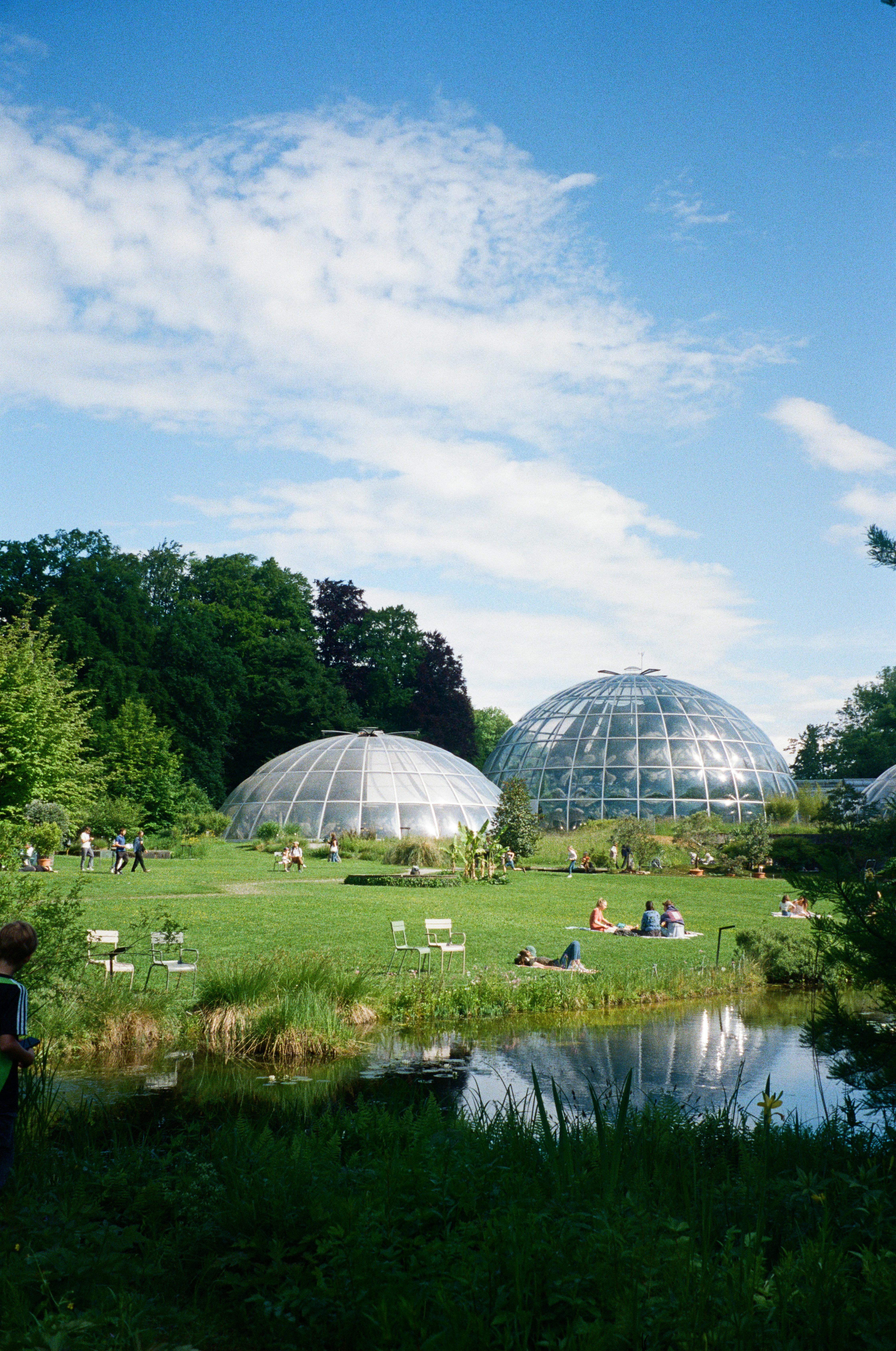 A group of people standing in a field next to a pond