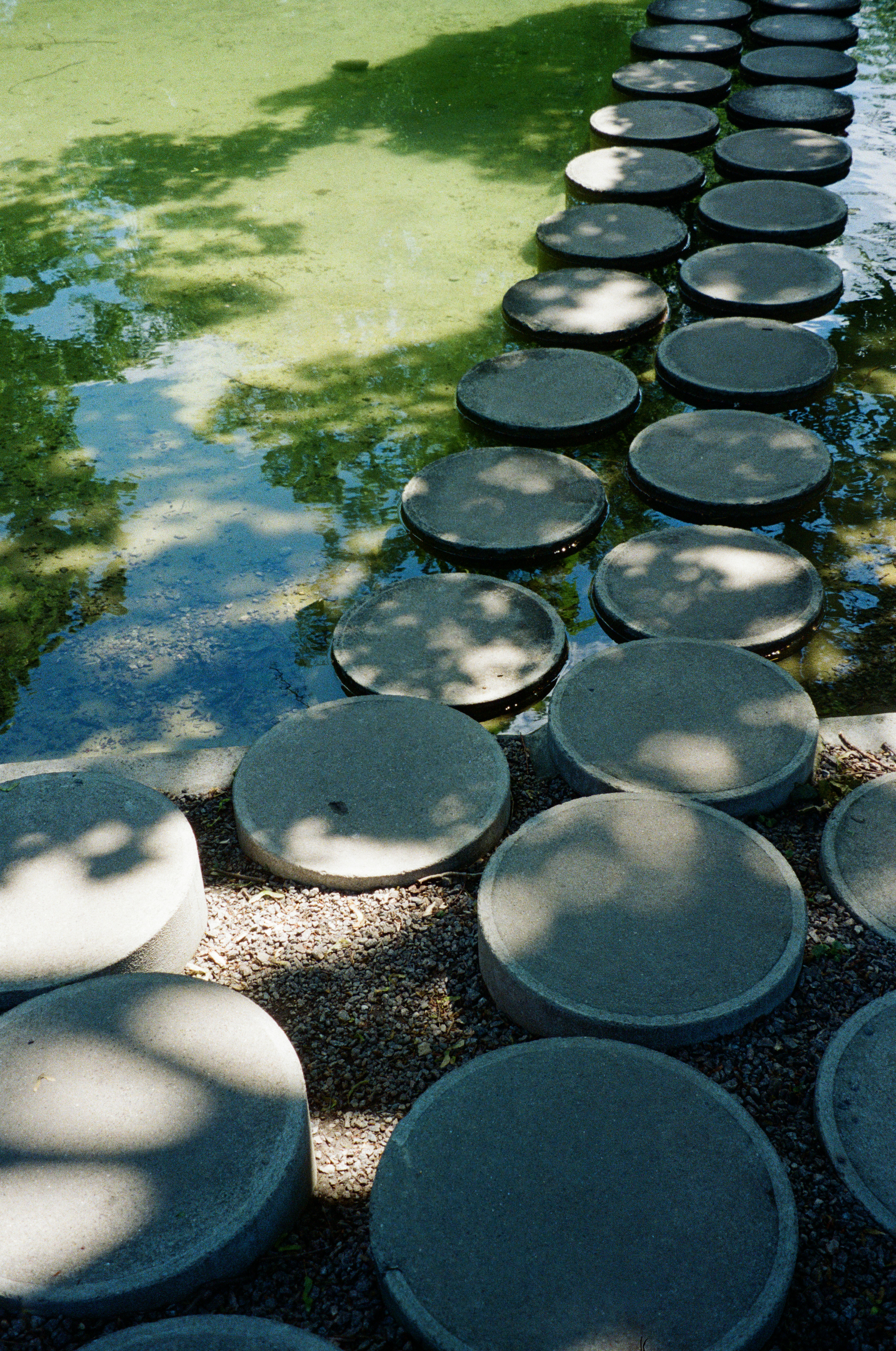 A row of stepping stones next to a body of water