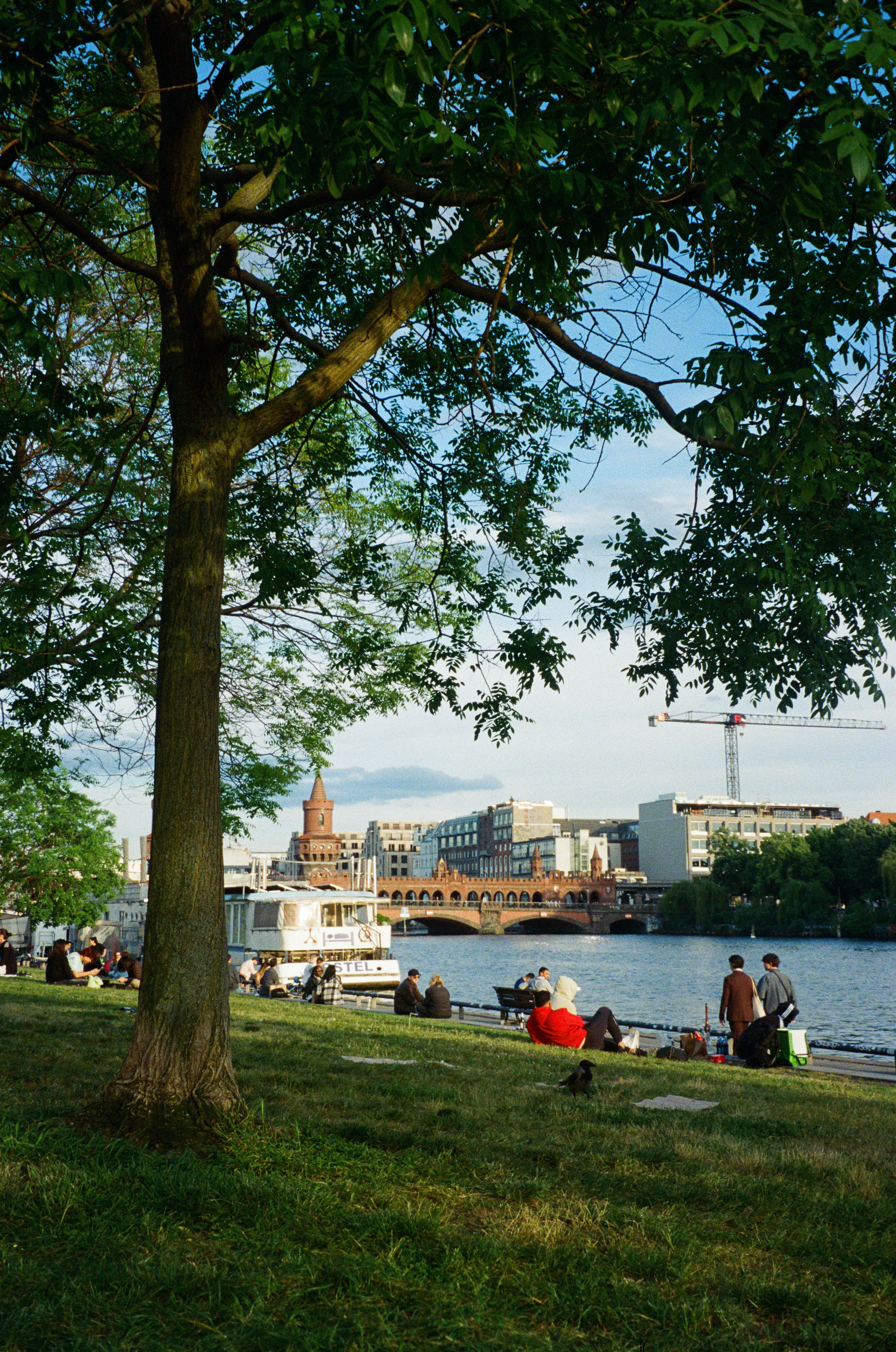 A group of people sitting on top of a lush green field next to a river