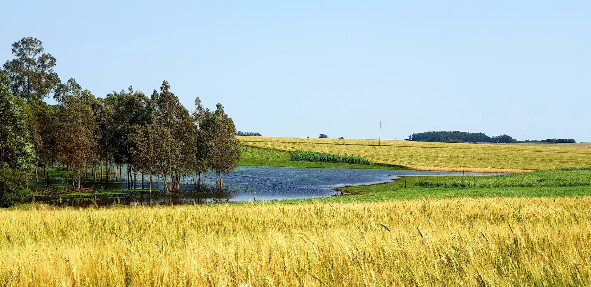 Pampas Gaúchos · RS