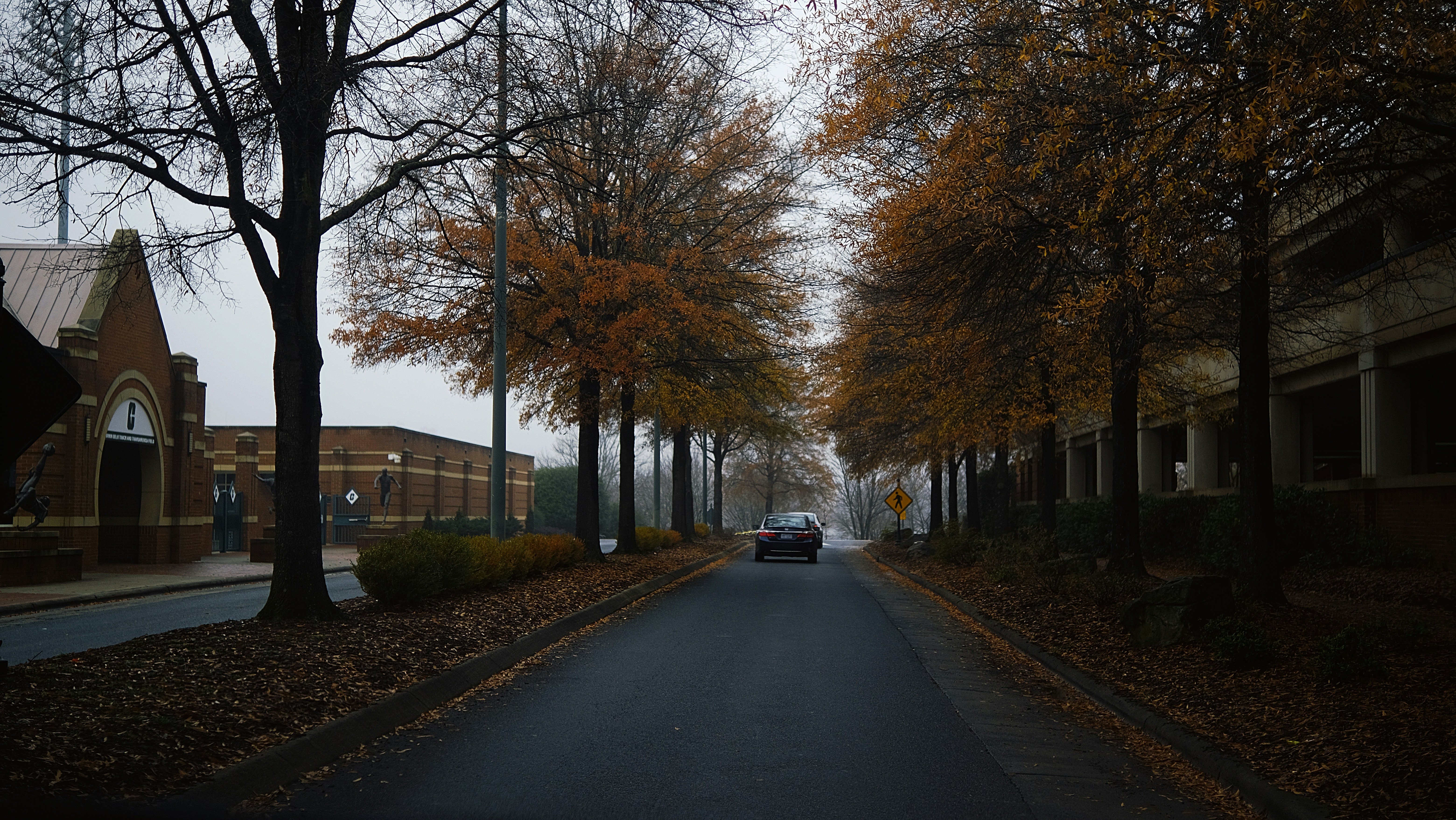 Photo by leiadakrozjhen