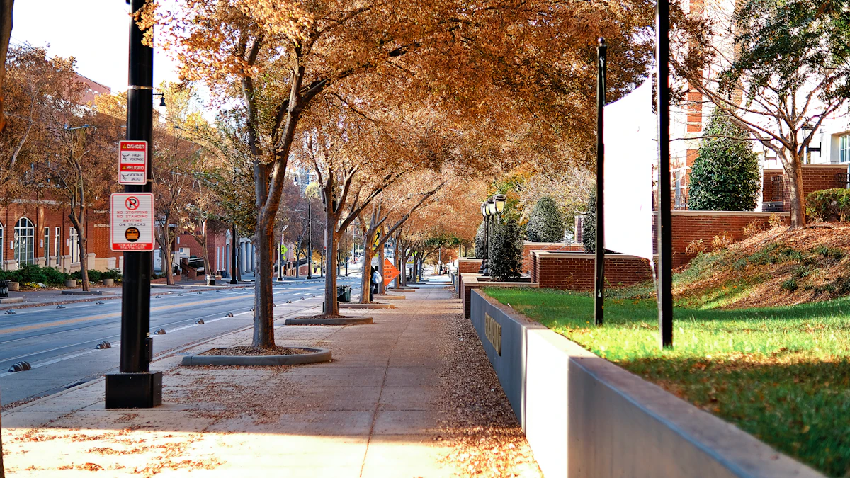 A tree-lined sidewalk in Charlotte in autumn