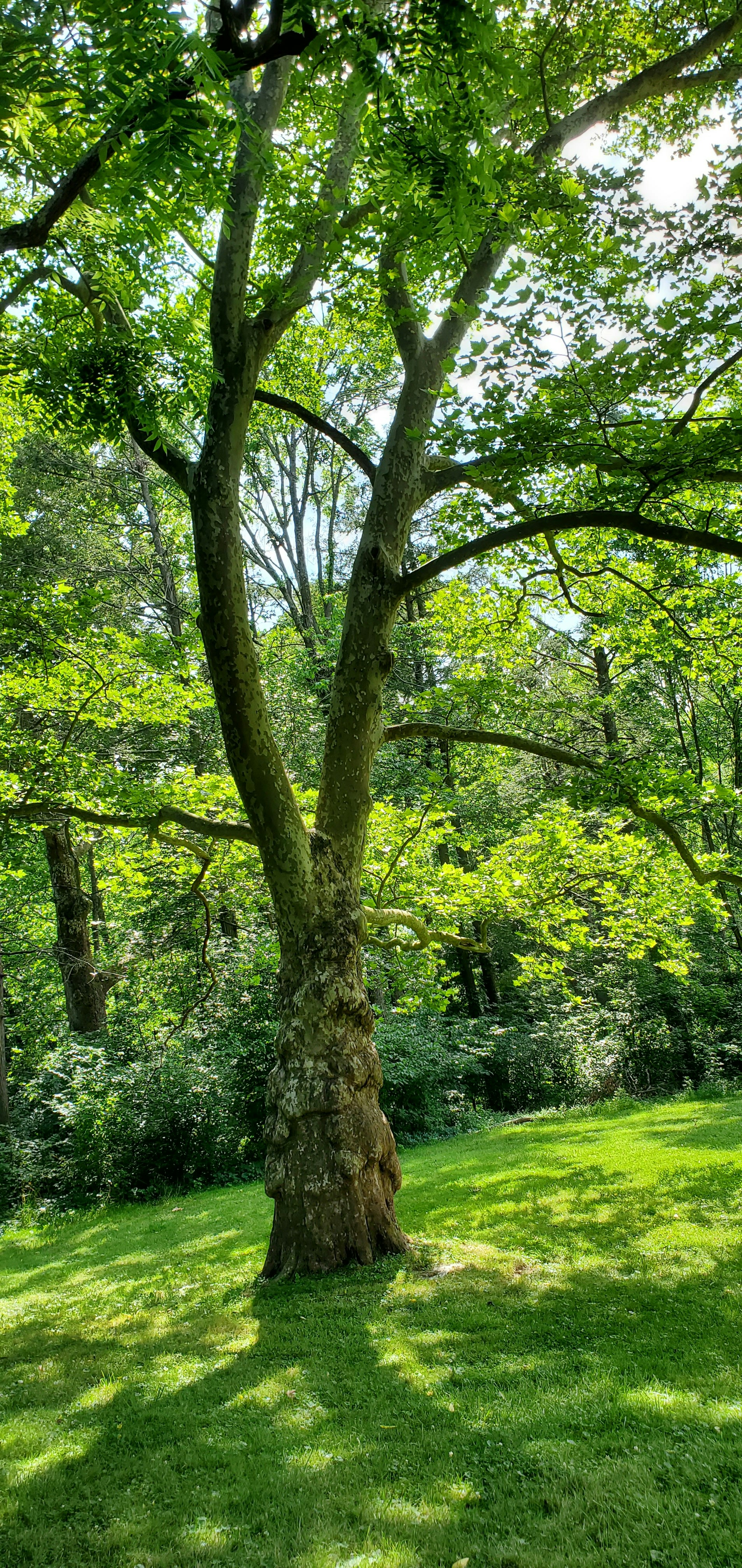 Photo by thewritingsample