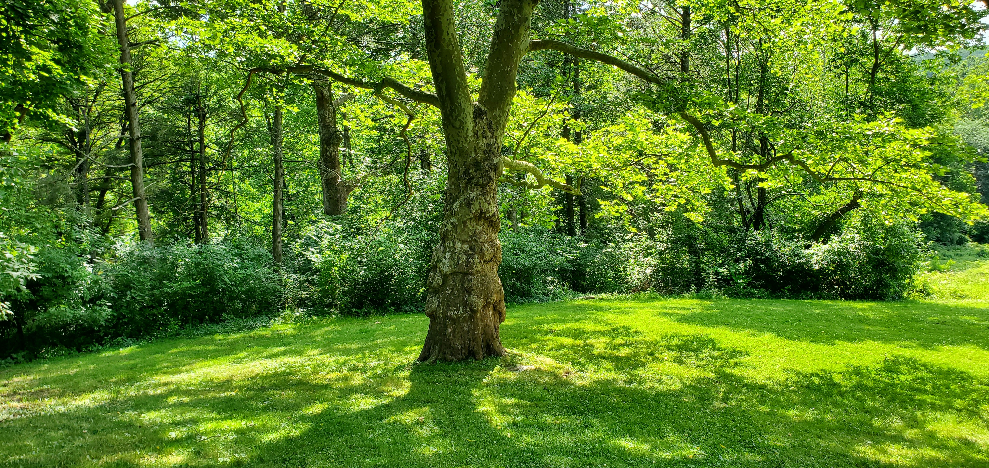 Client testimonials on landscaping website