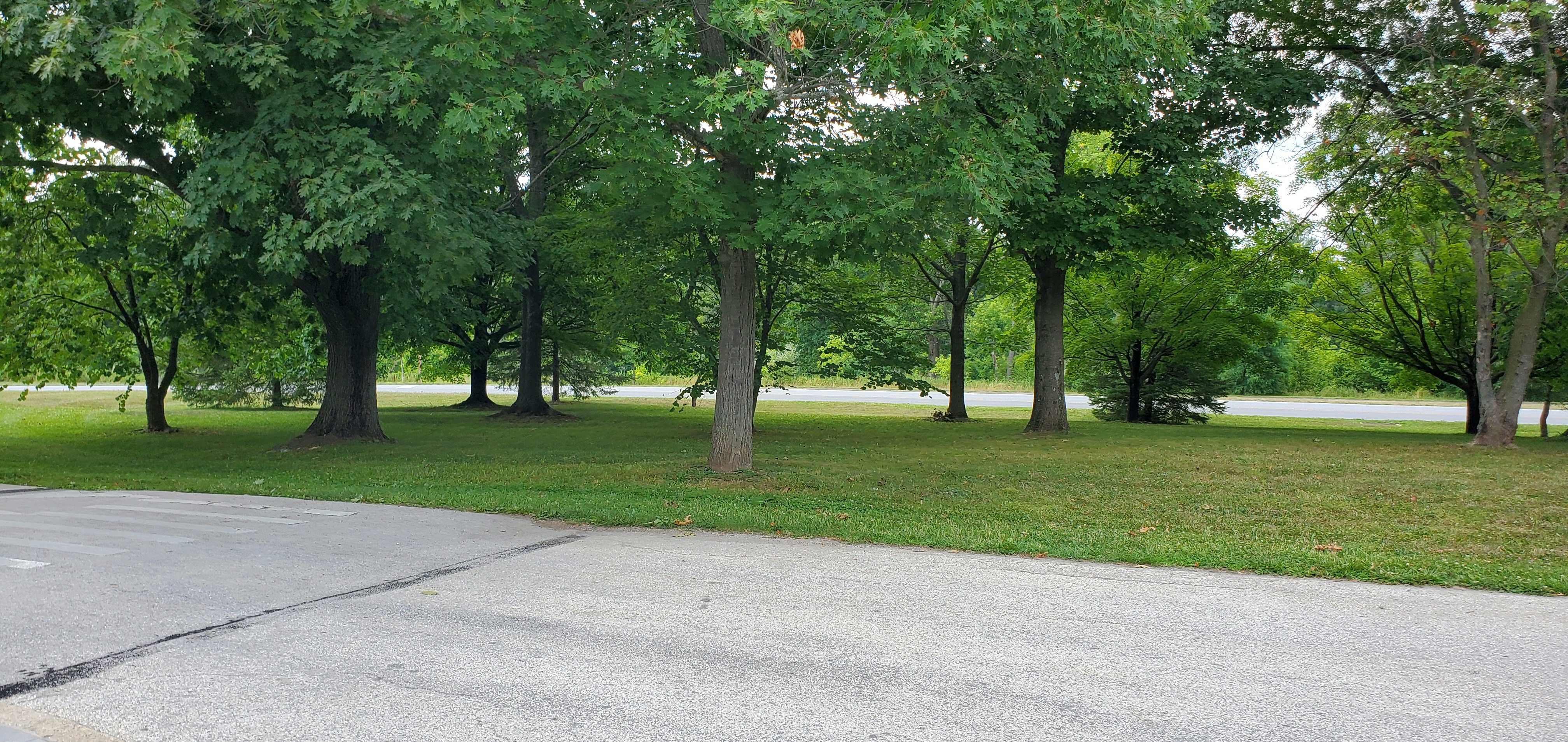 Photo by thewritingsample