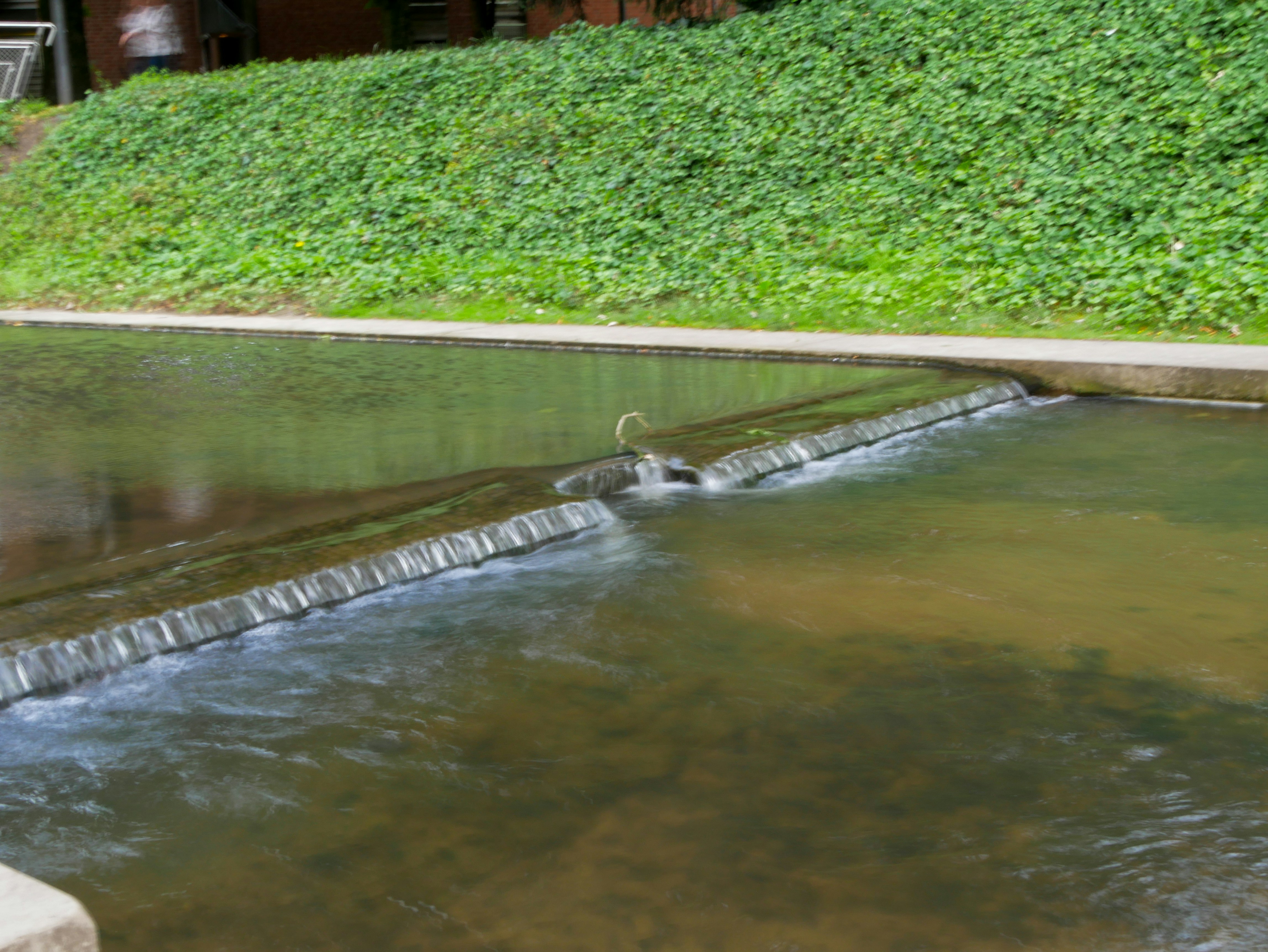 A bird sitting on a ledge in a pond