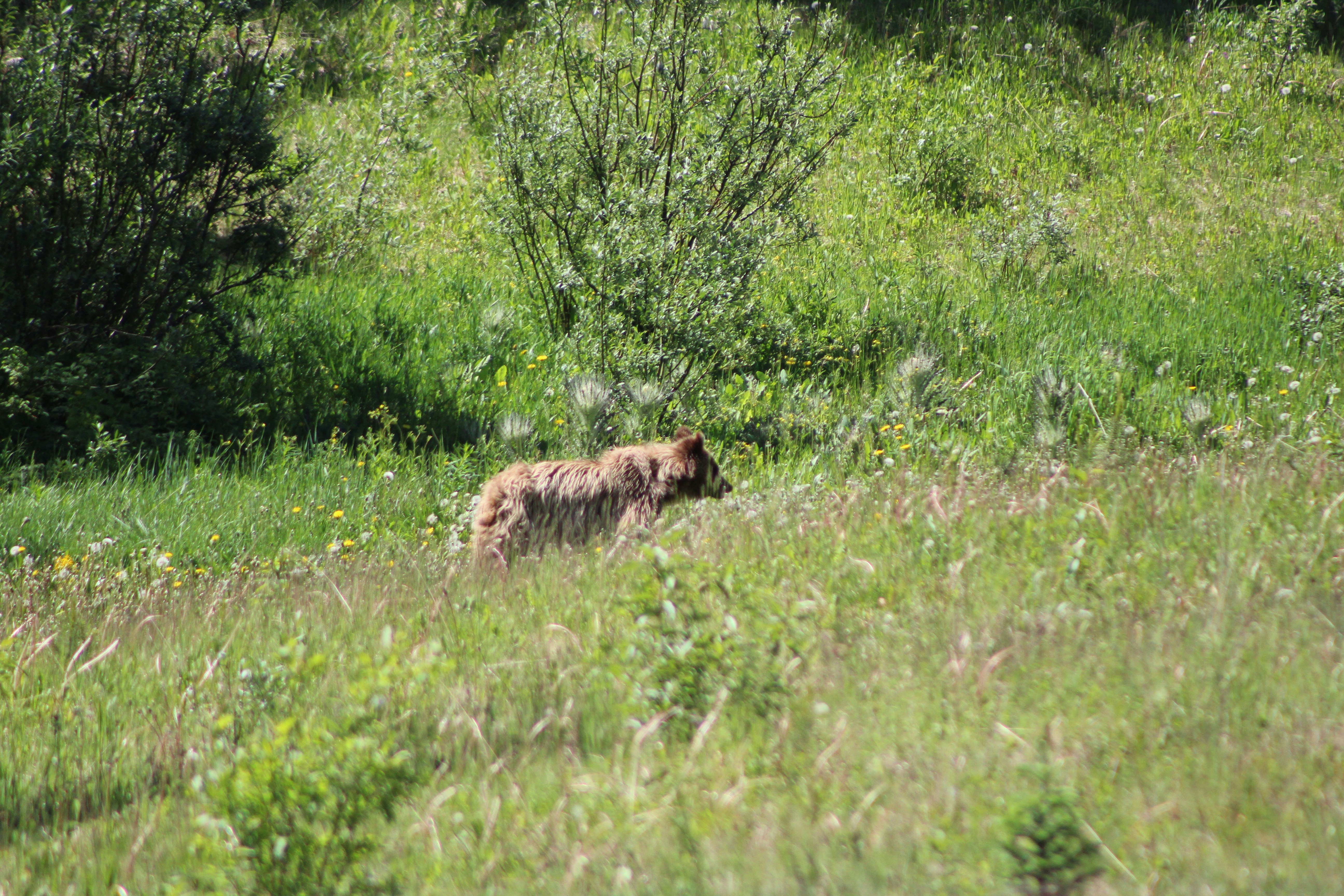 Photo by madhurimohite