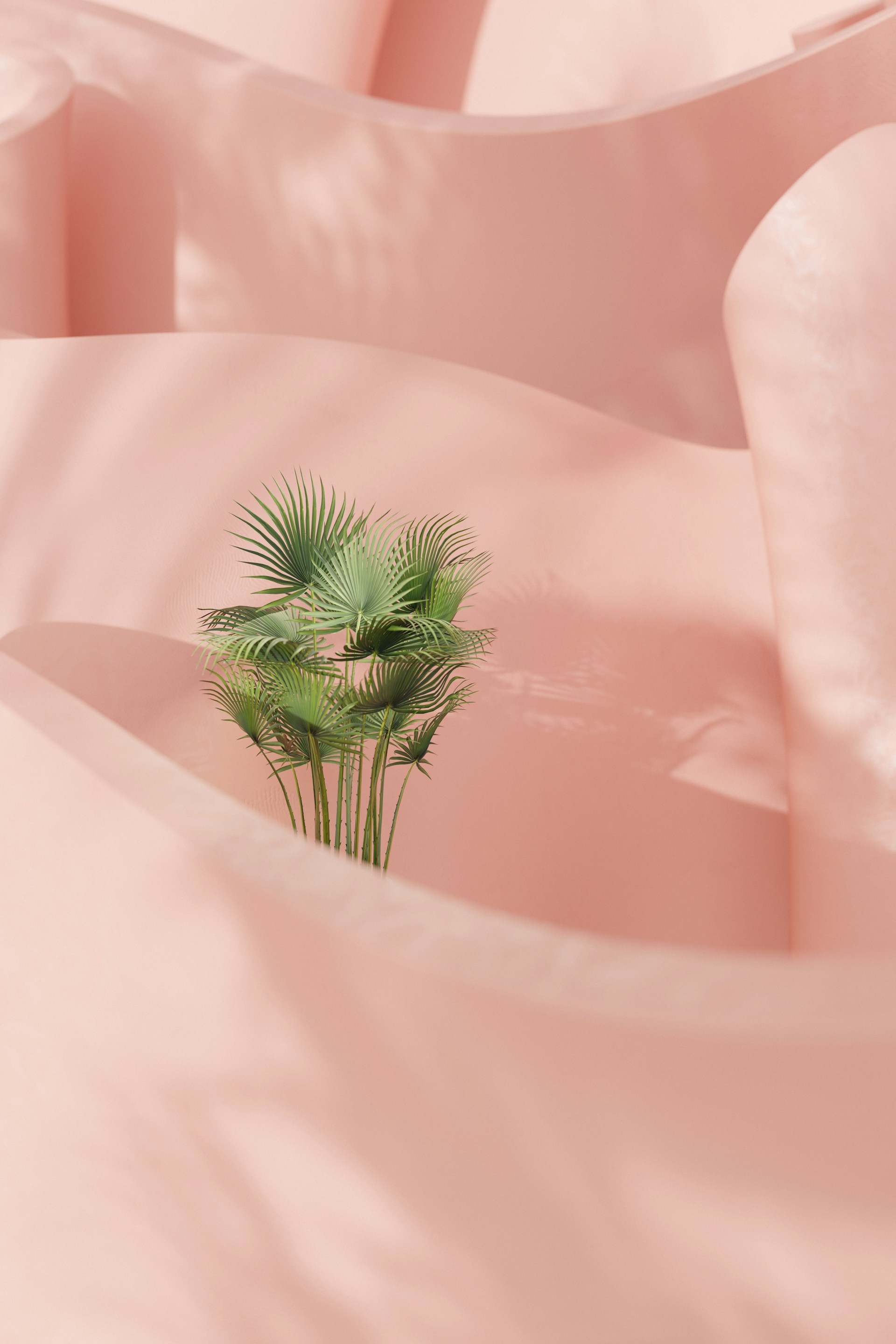 A palm tree in the middle of a pink background