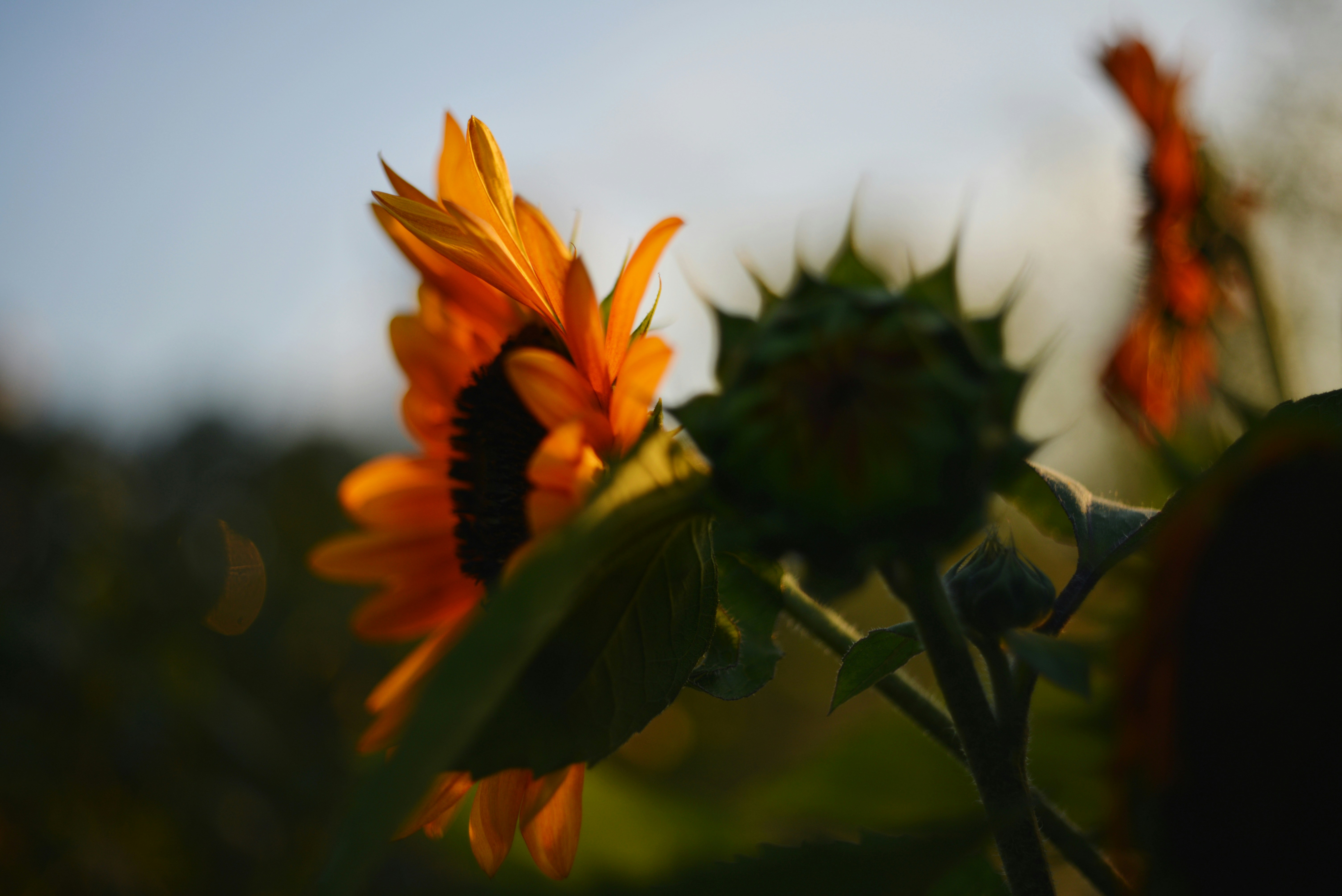 Photo by cherstve_pechivo