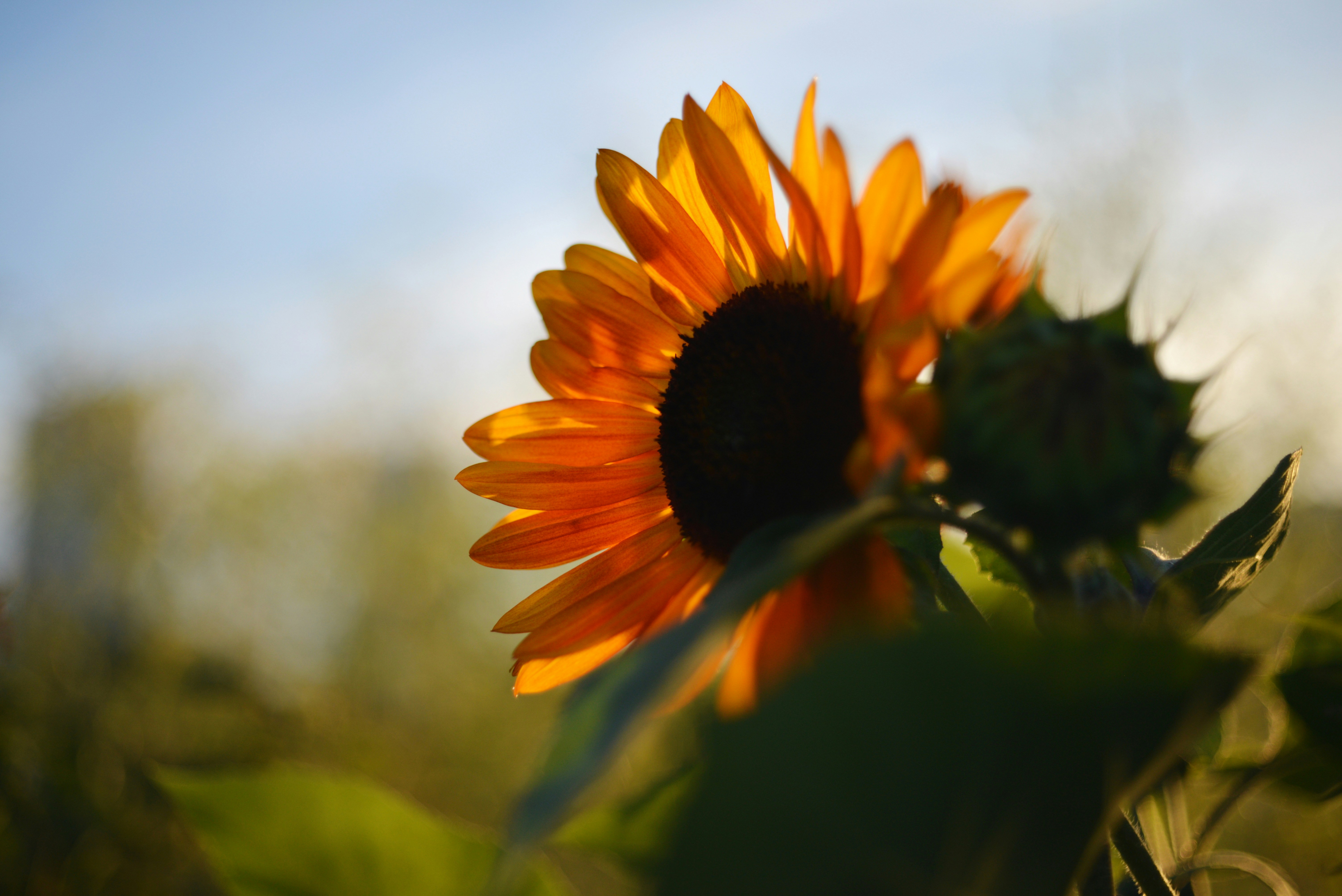 Photo by cherstve_pechivo