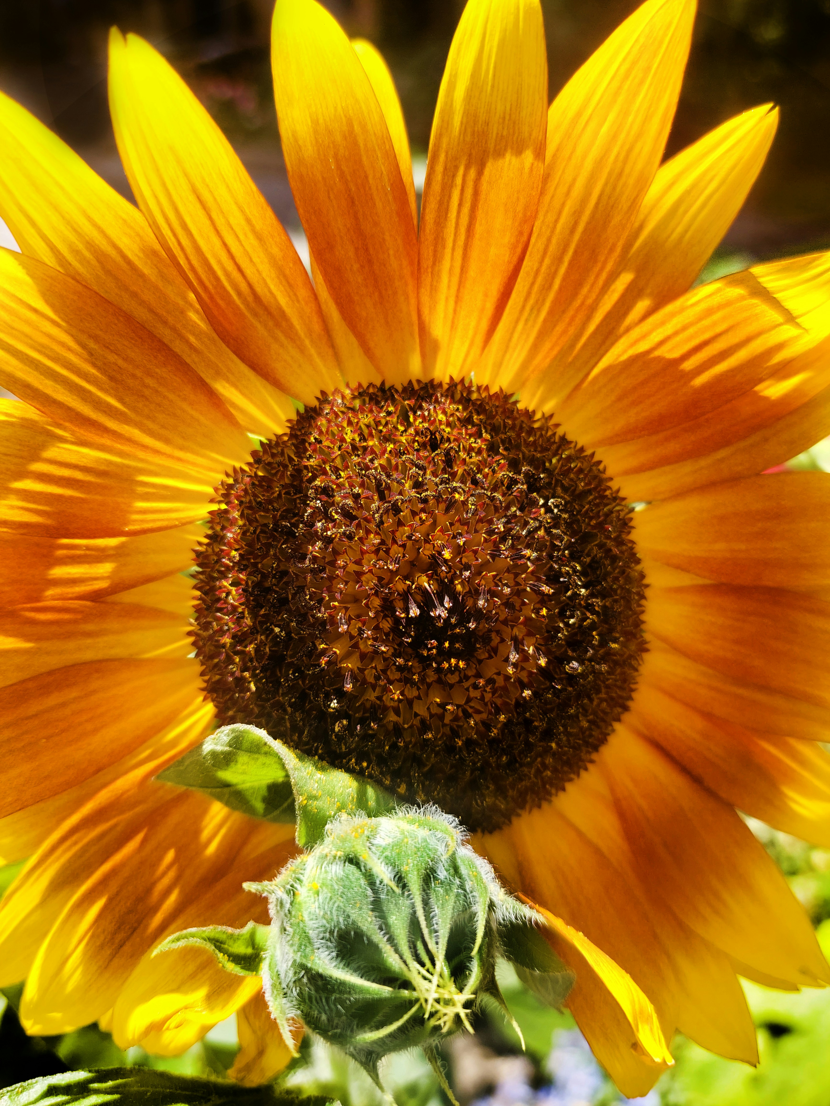 Photo by anna_kharkivska