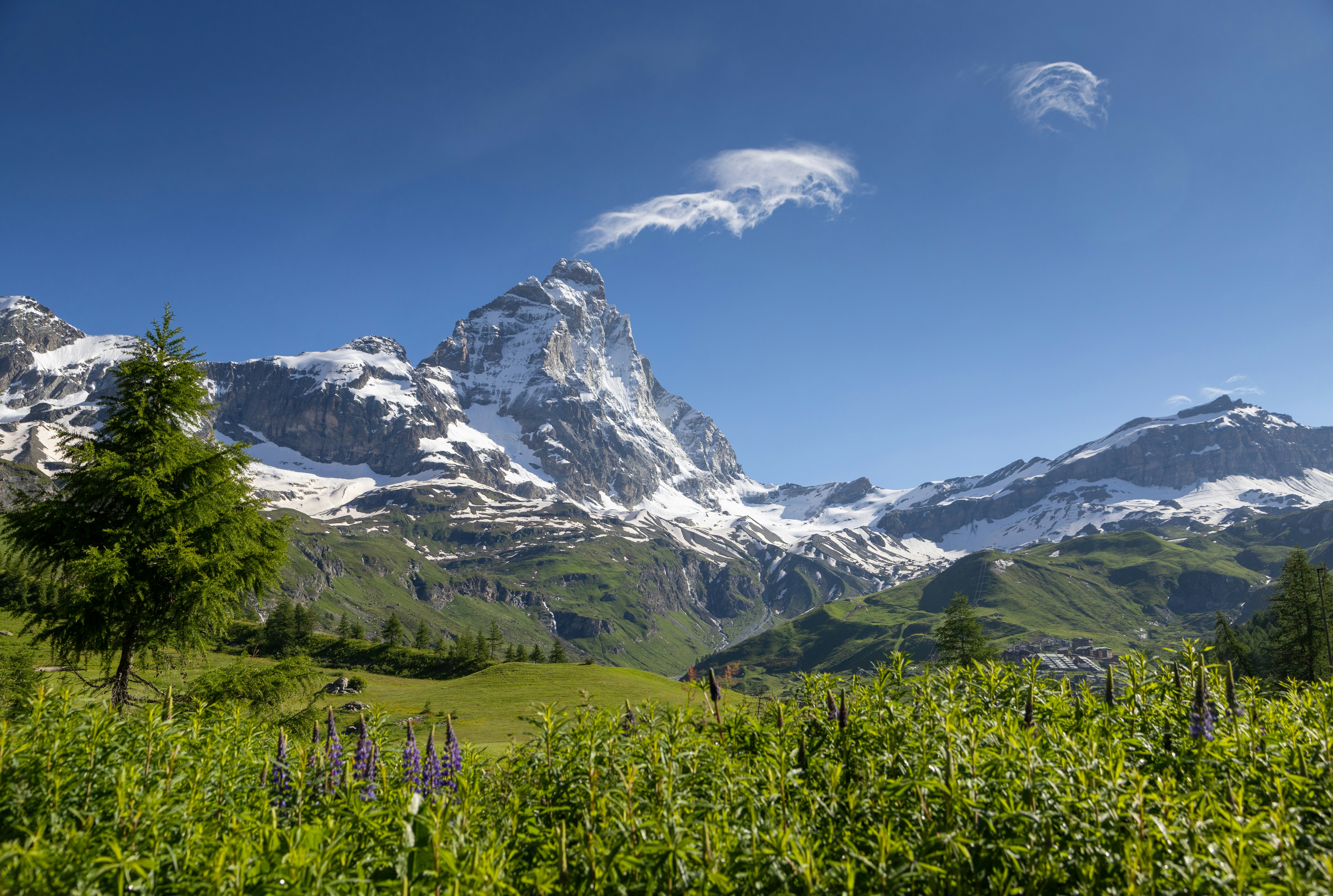 Photo by nikolaydutchuk