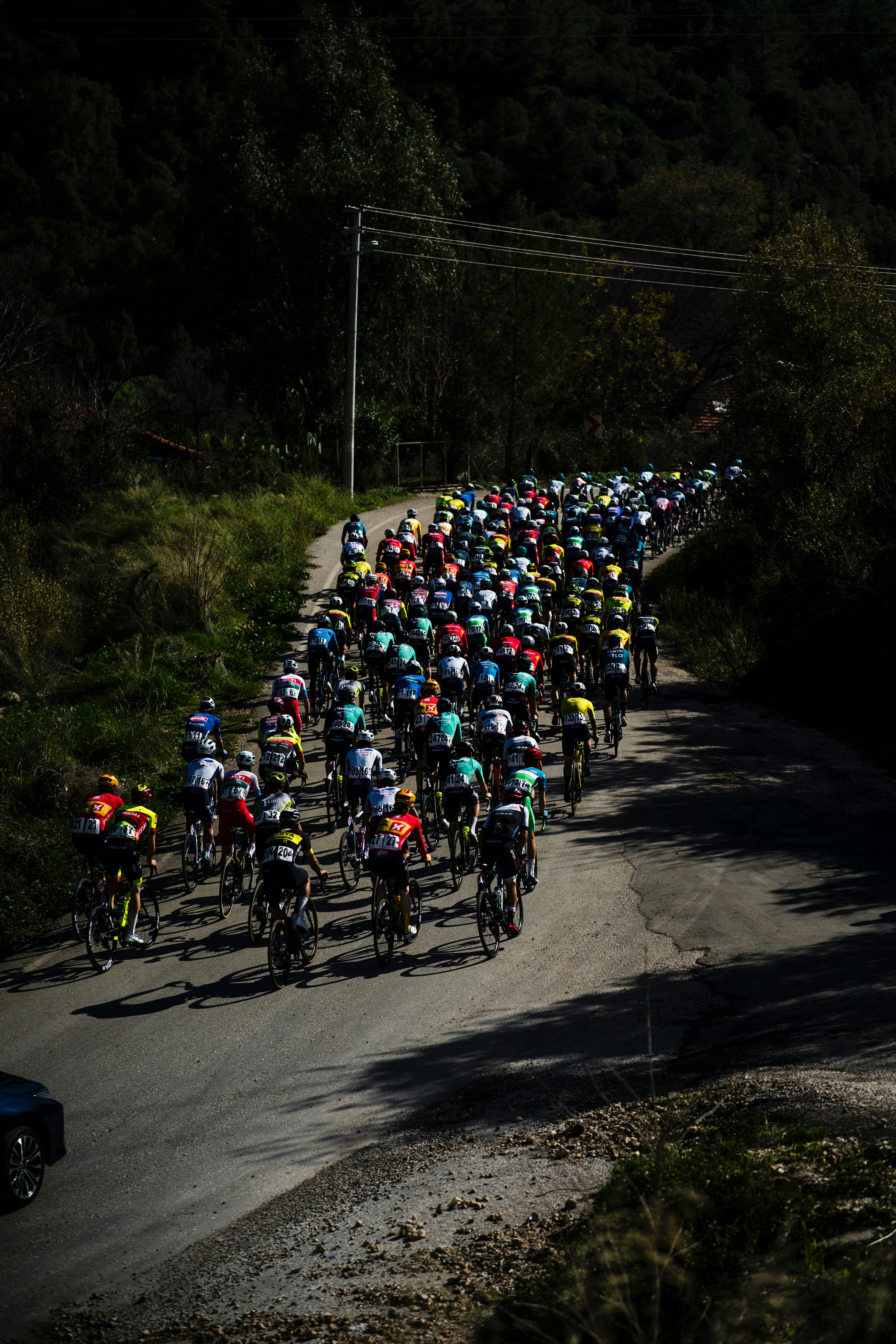 A large group of people riding bikes down a road
