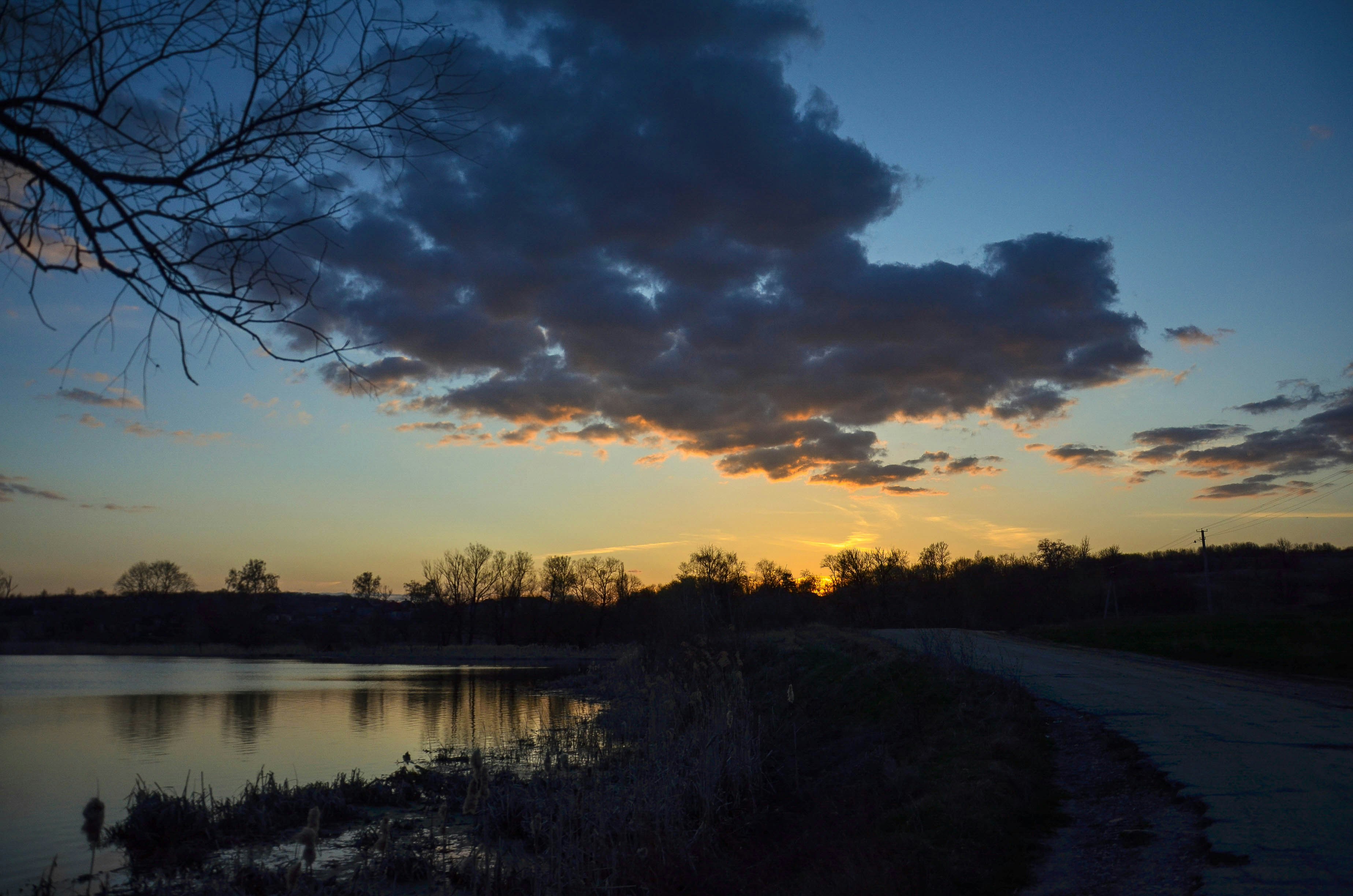 Photo by poliezhaievv