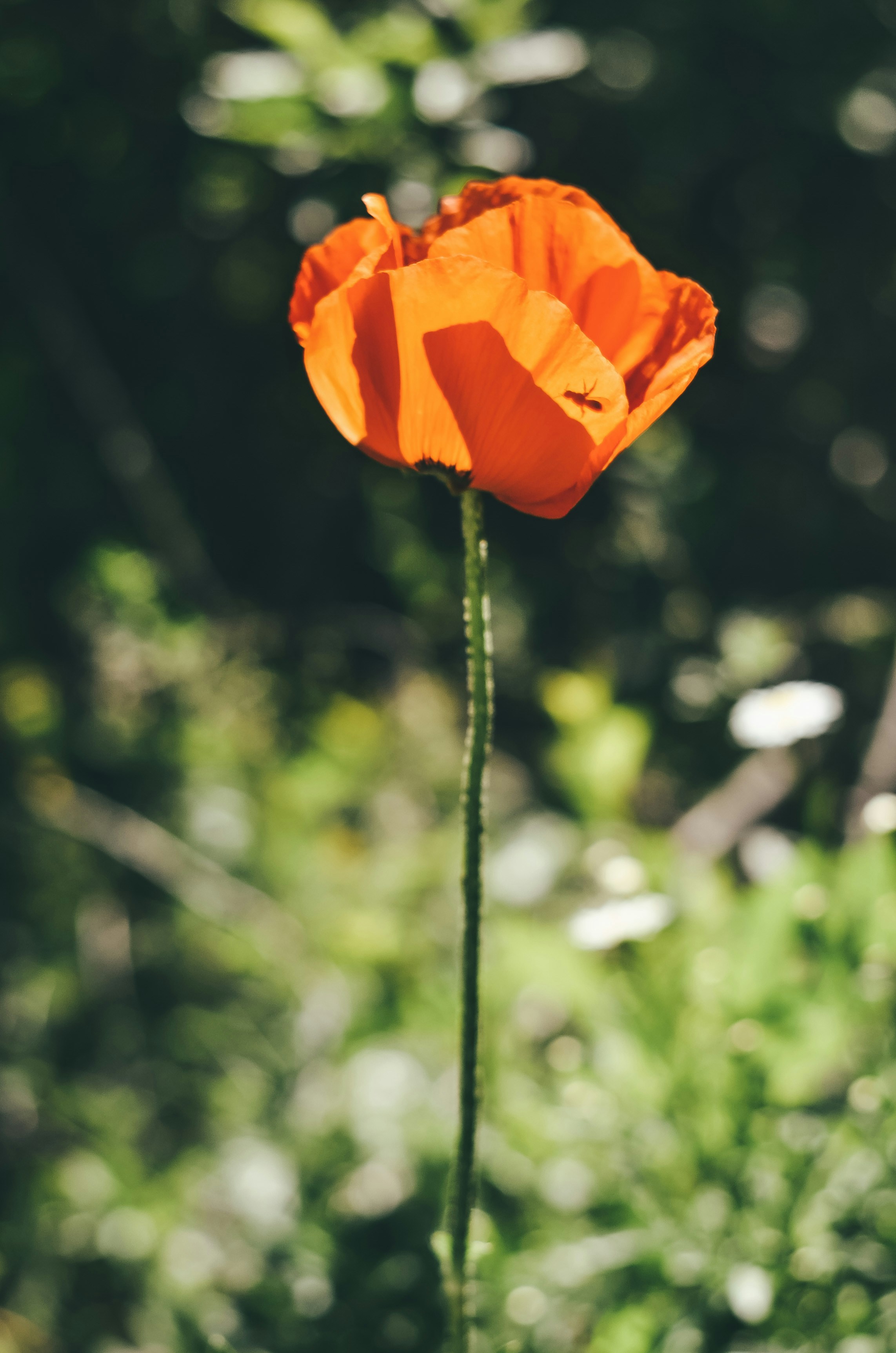 Photo by poliezhaievv