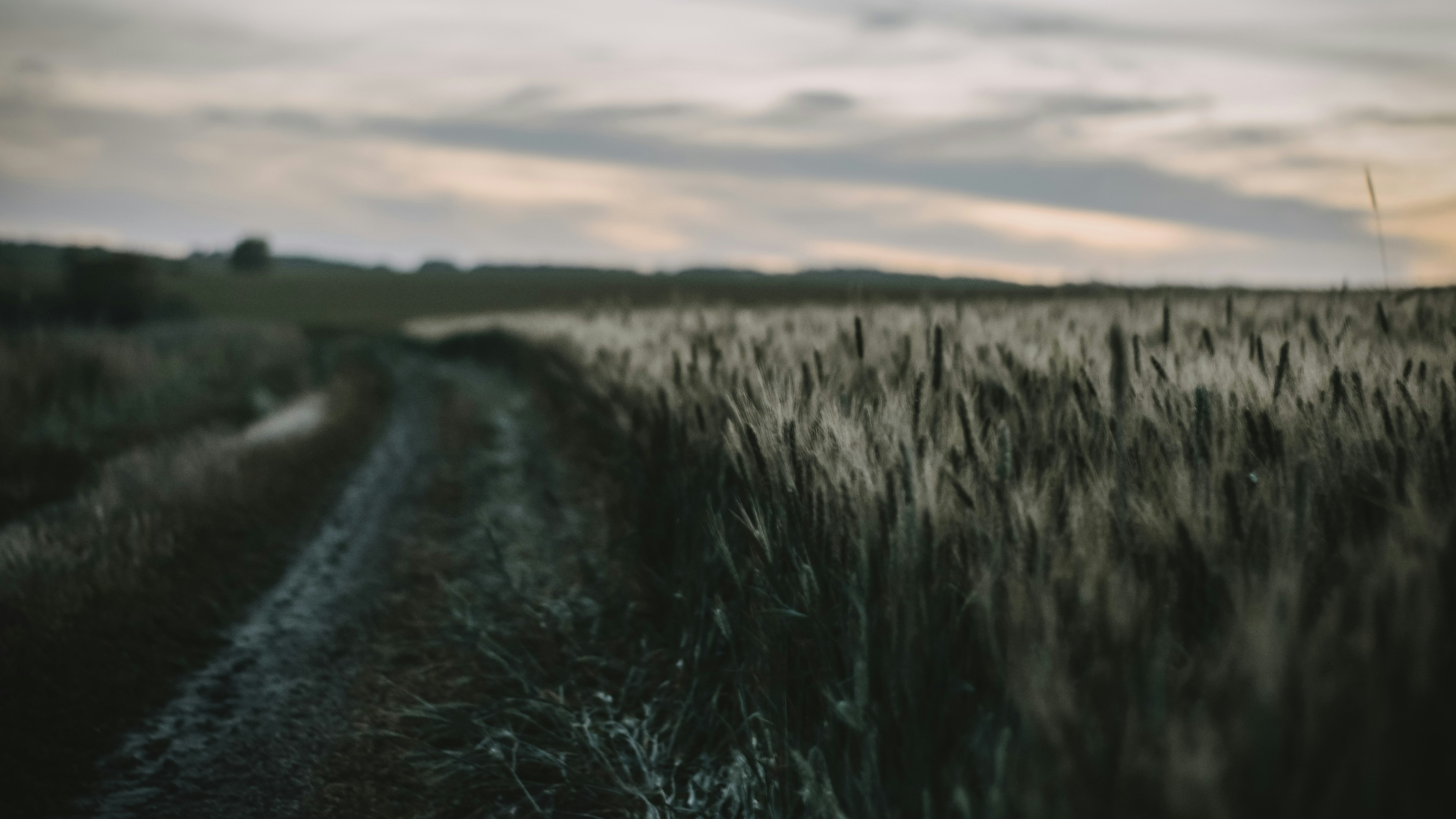 Photo by poliezhaievv