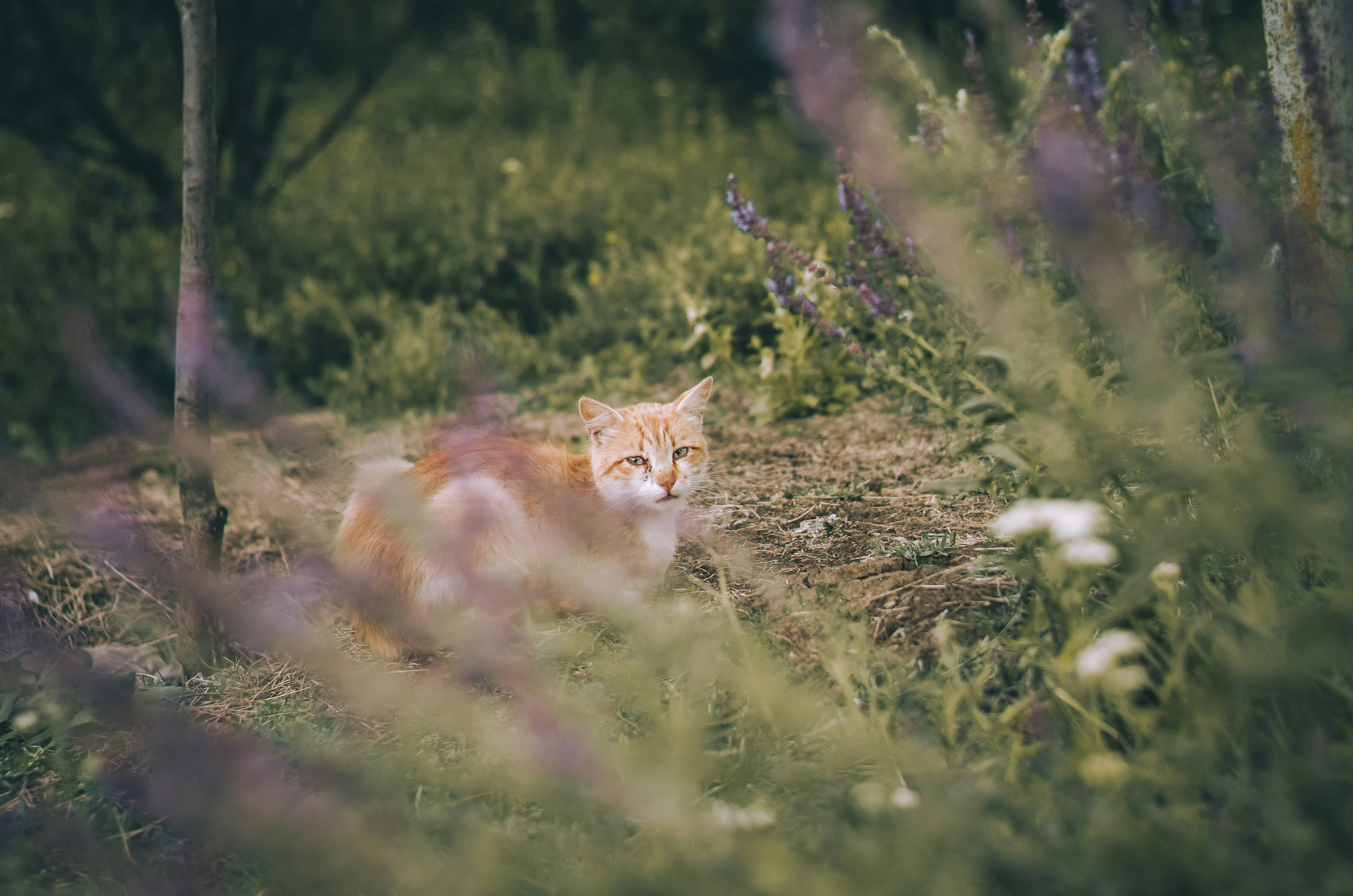 Photo by poliezhaievv