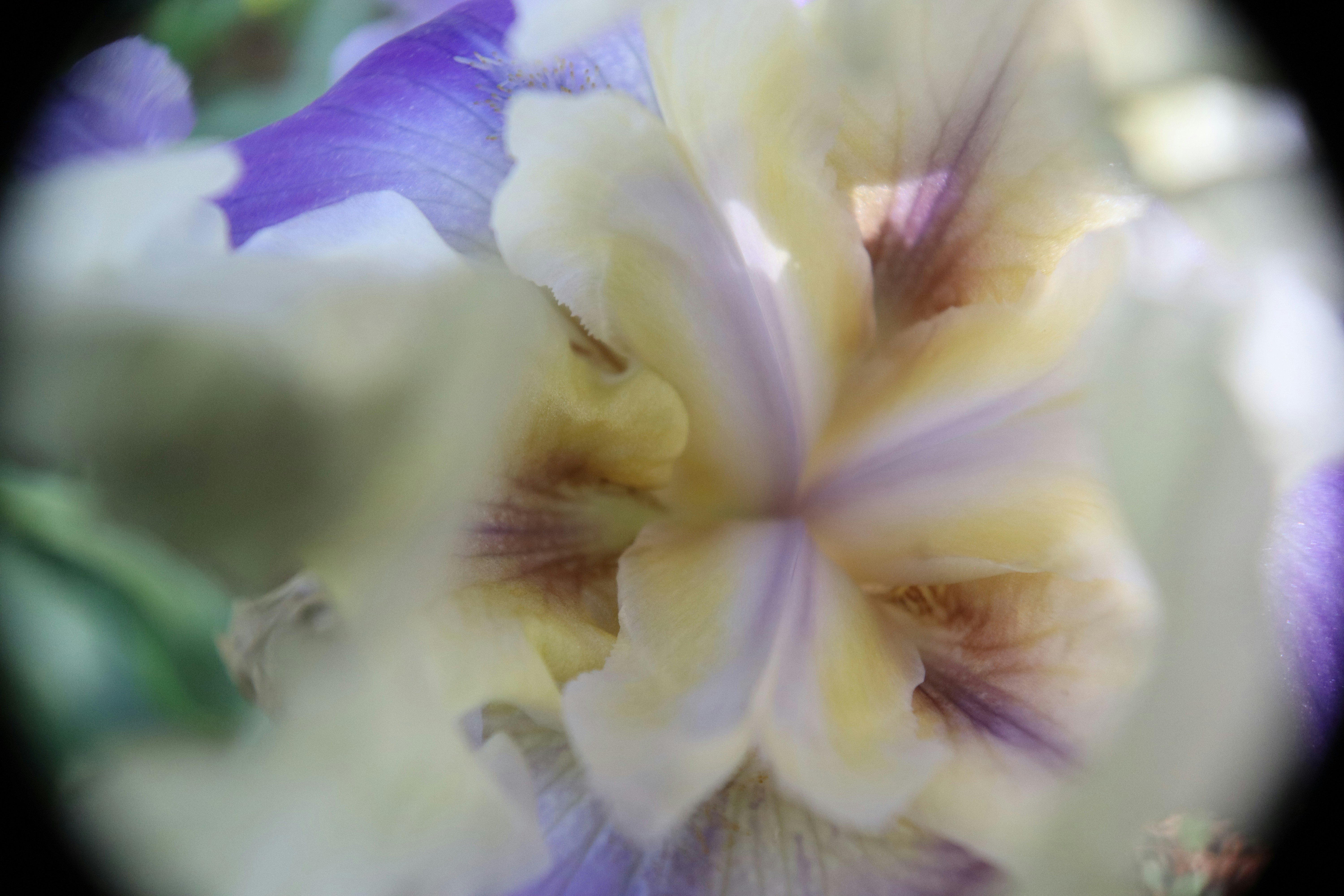 Photo by runnner_mom