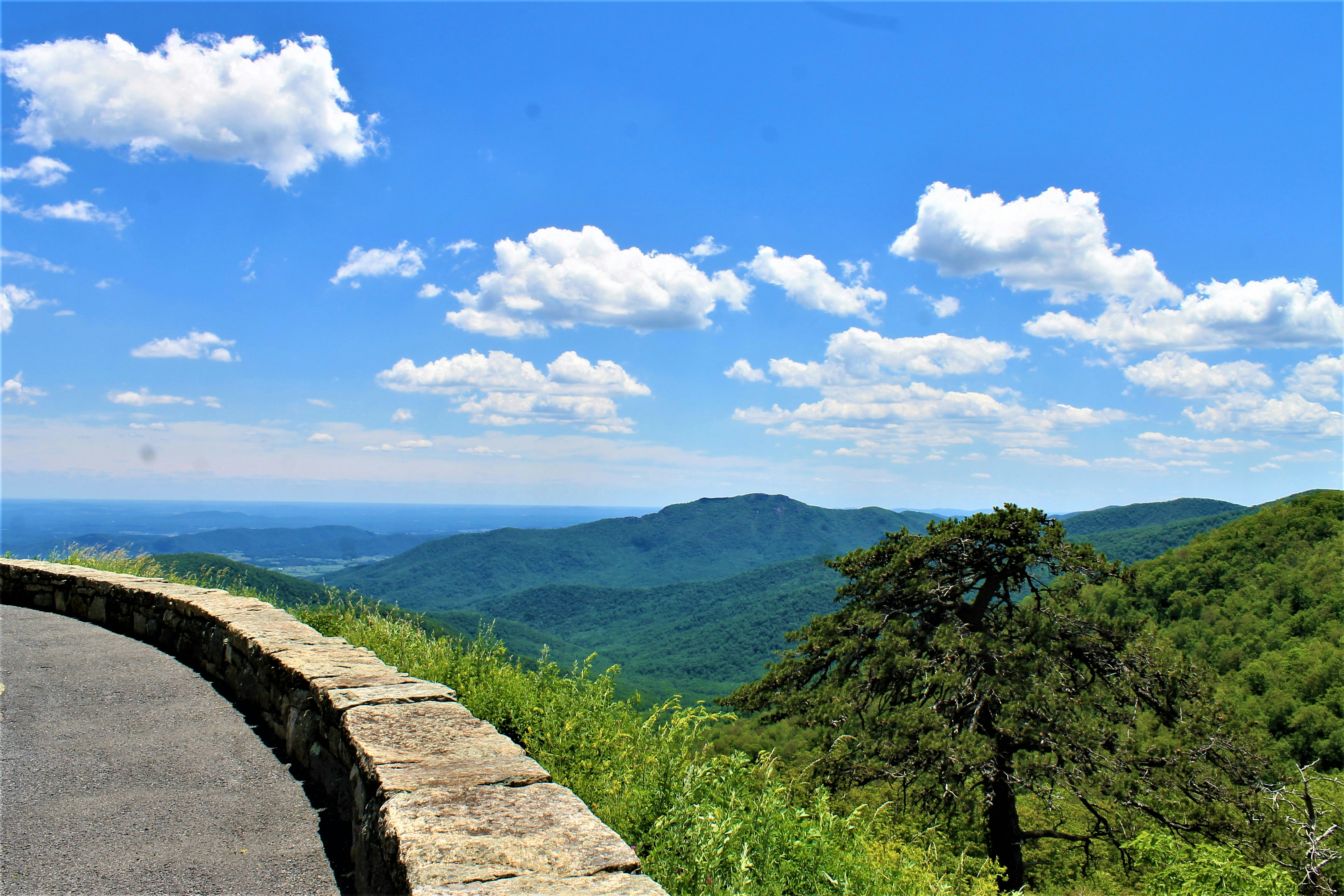 Galax, City / Town in Virginia