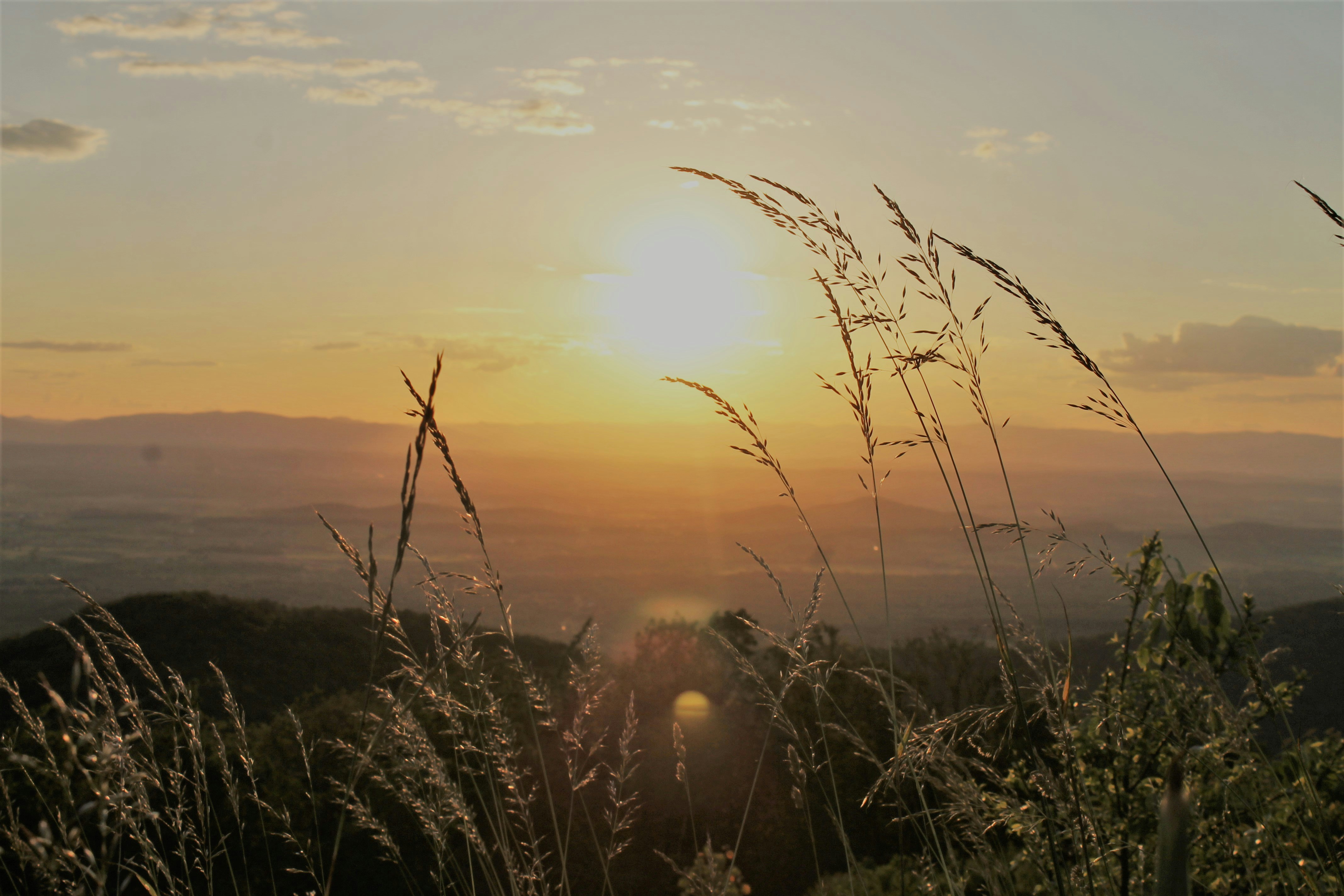 Photo by runnner_mom