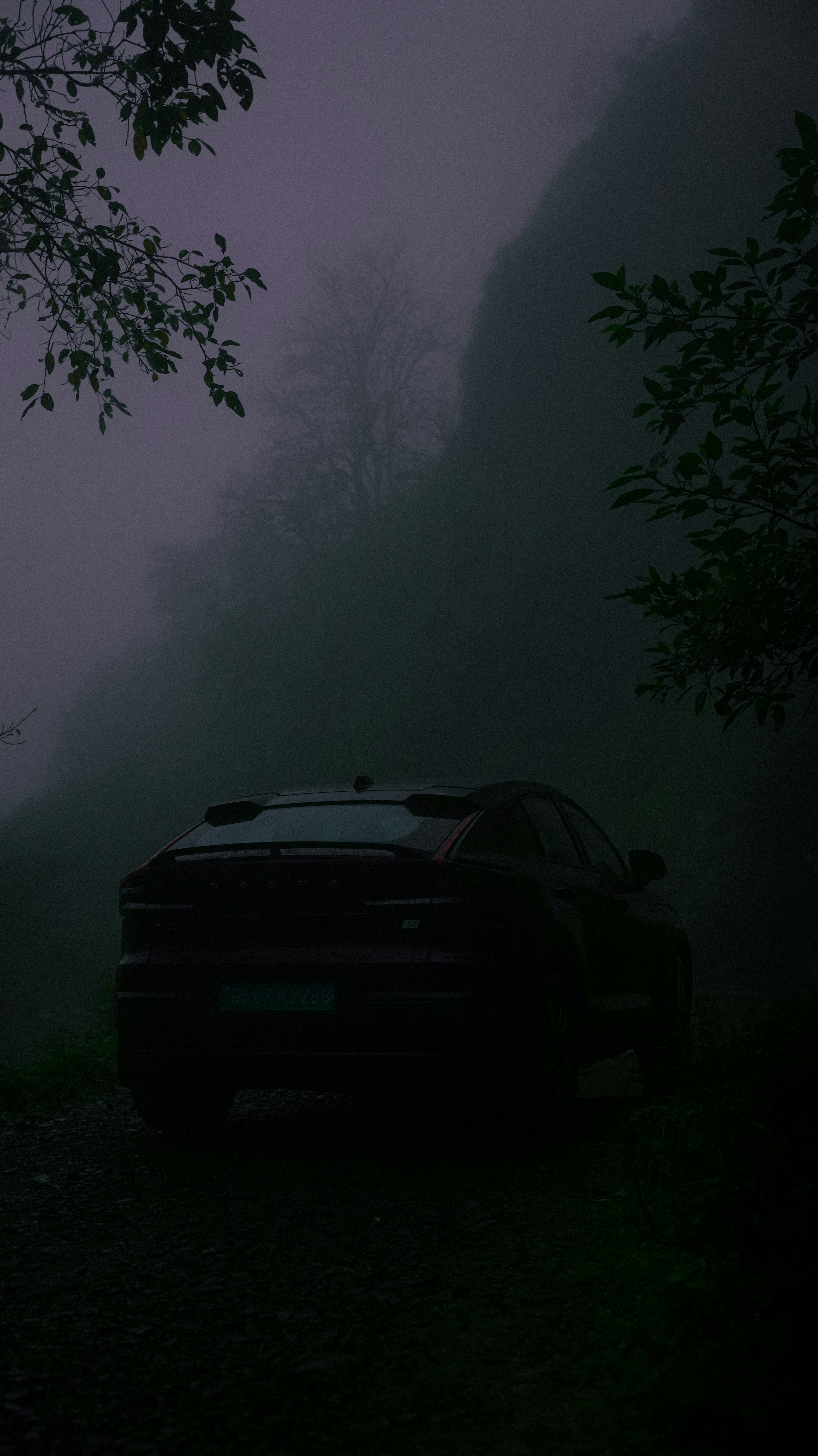 Photo by rohankrishnann