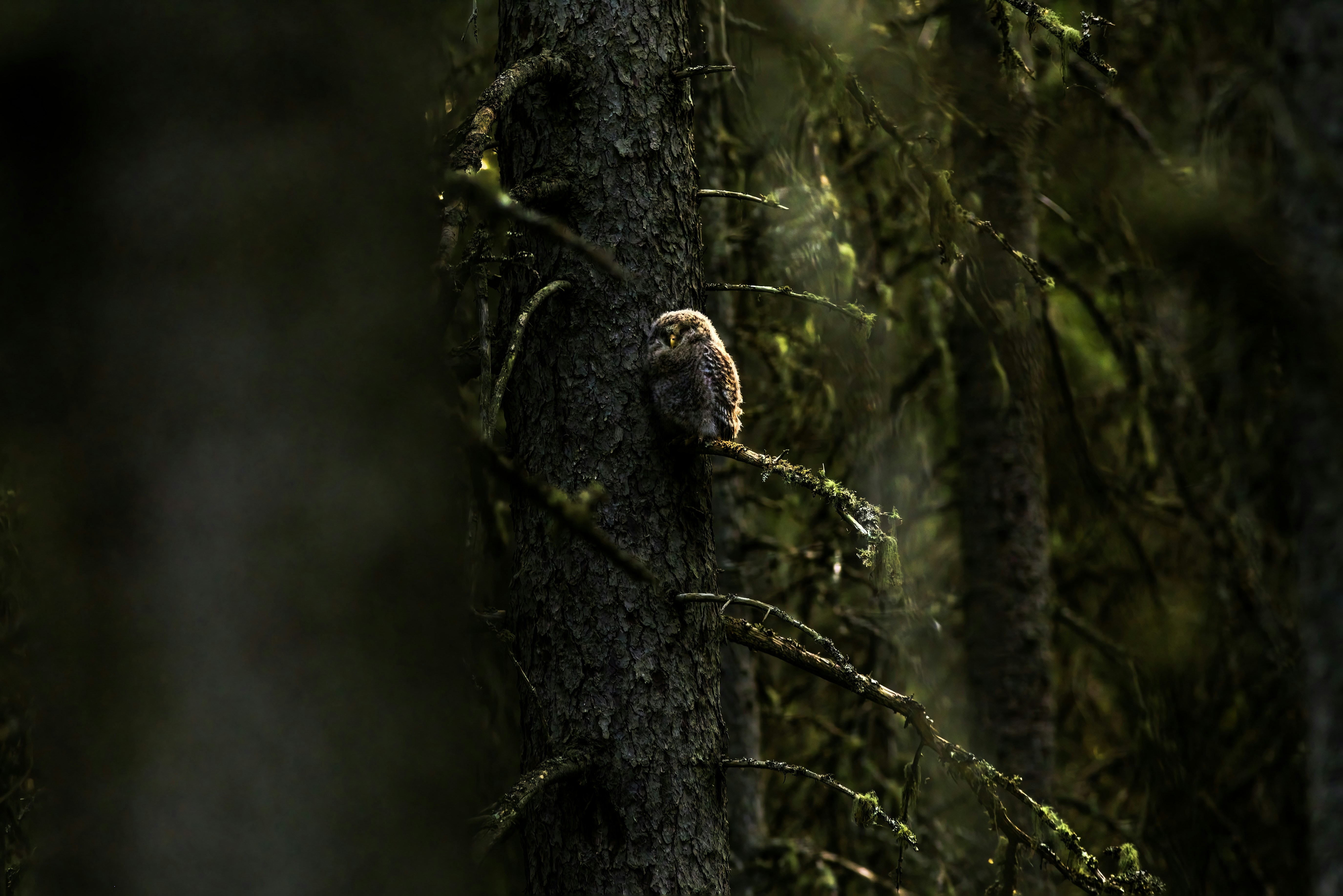 Photo by erik_karits