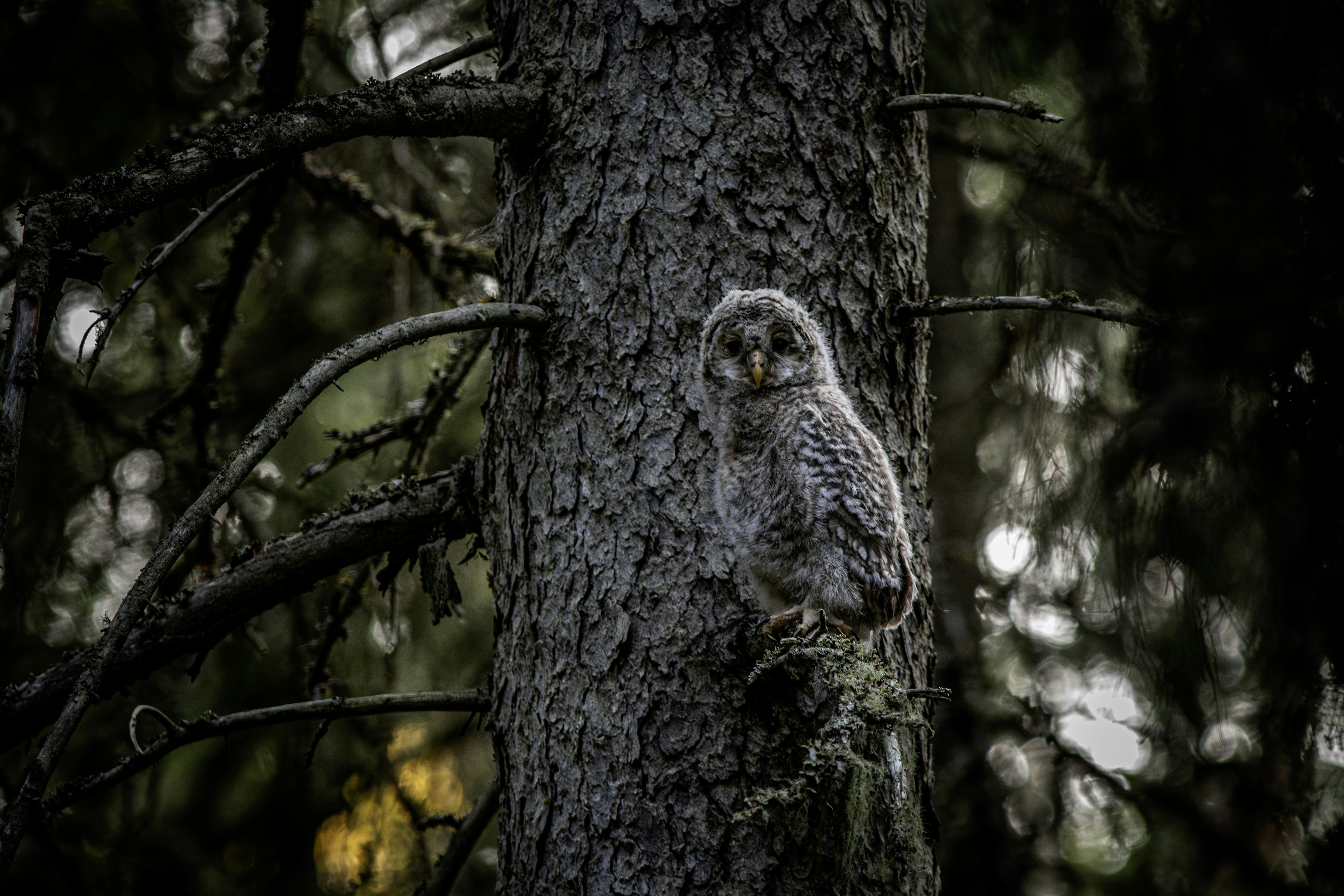 Photo by erik_karits