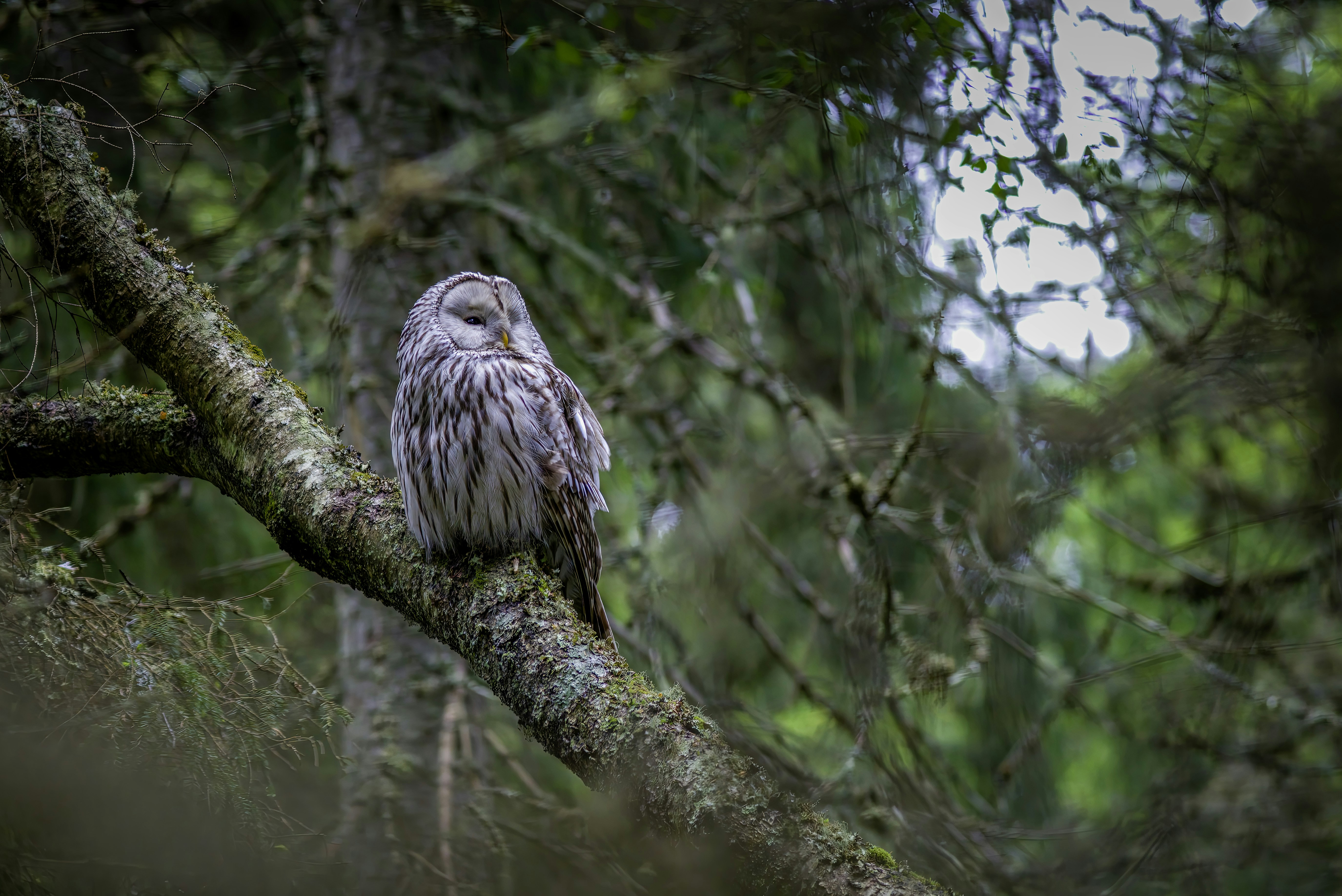 Photo by erik_karits