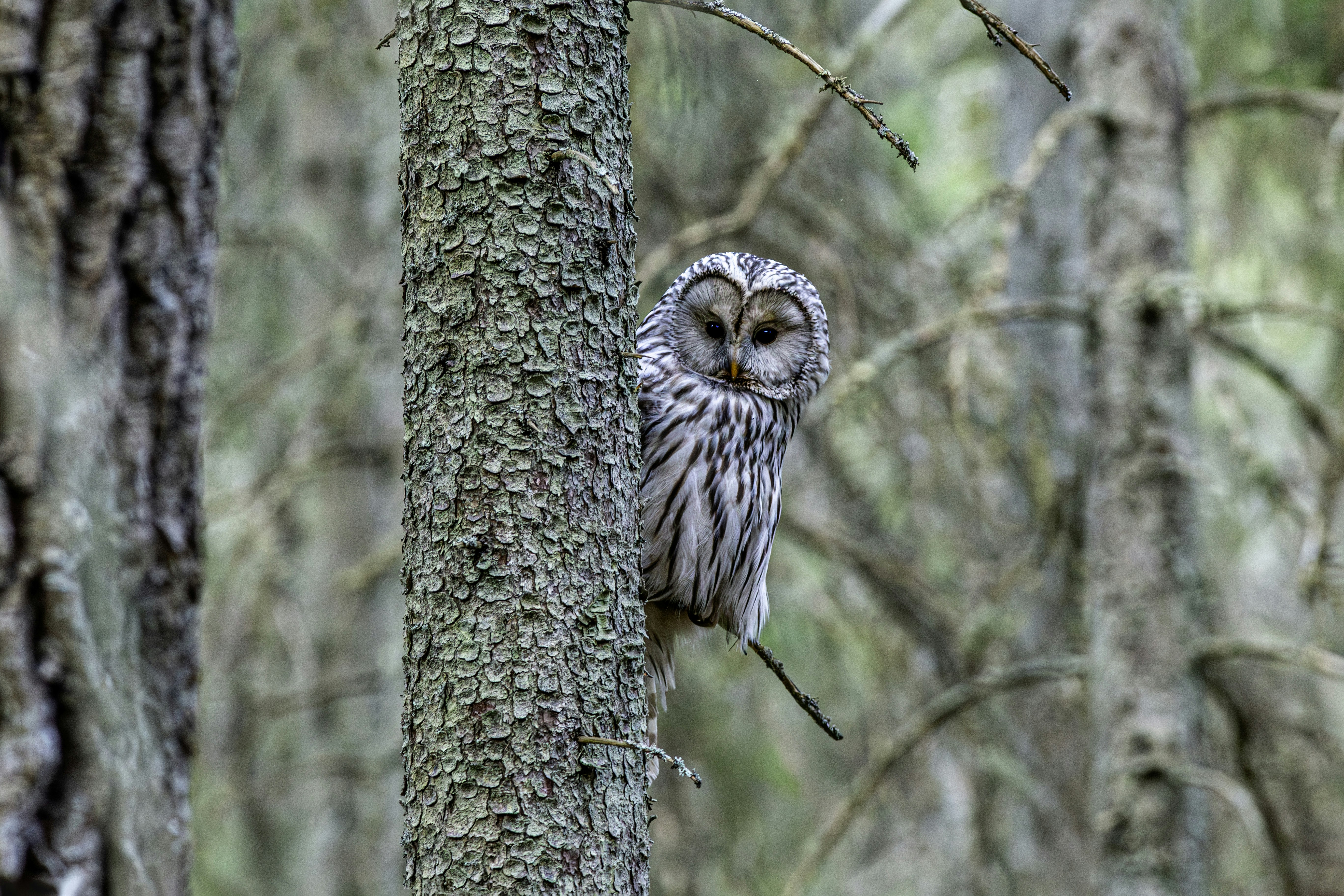 Photo by erik_karits