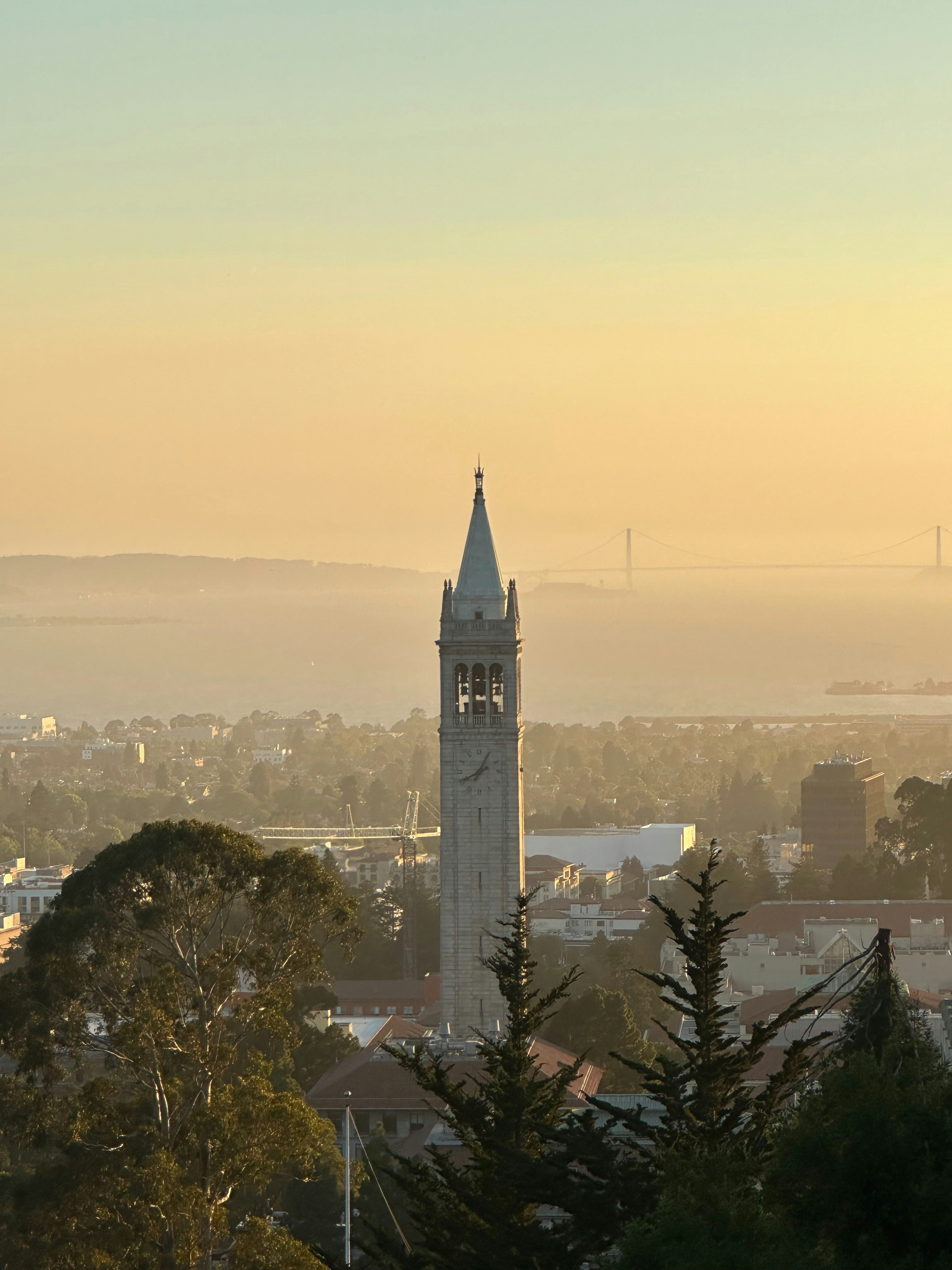 Cover Image for Berkeley SkyDeck x Enactus: Intro to Entrepreneurship