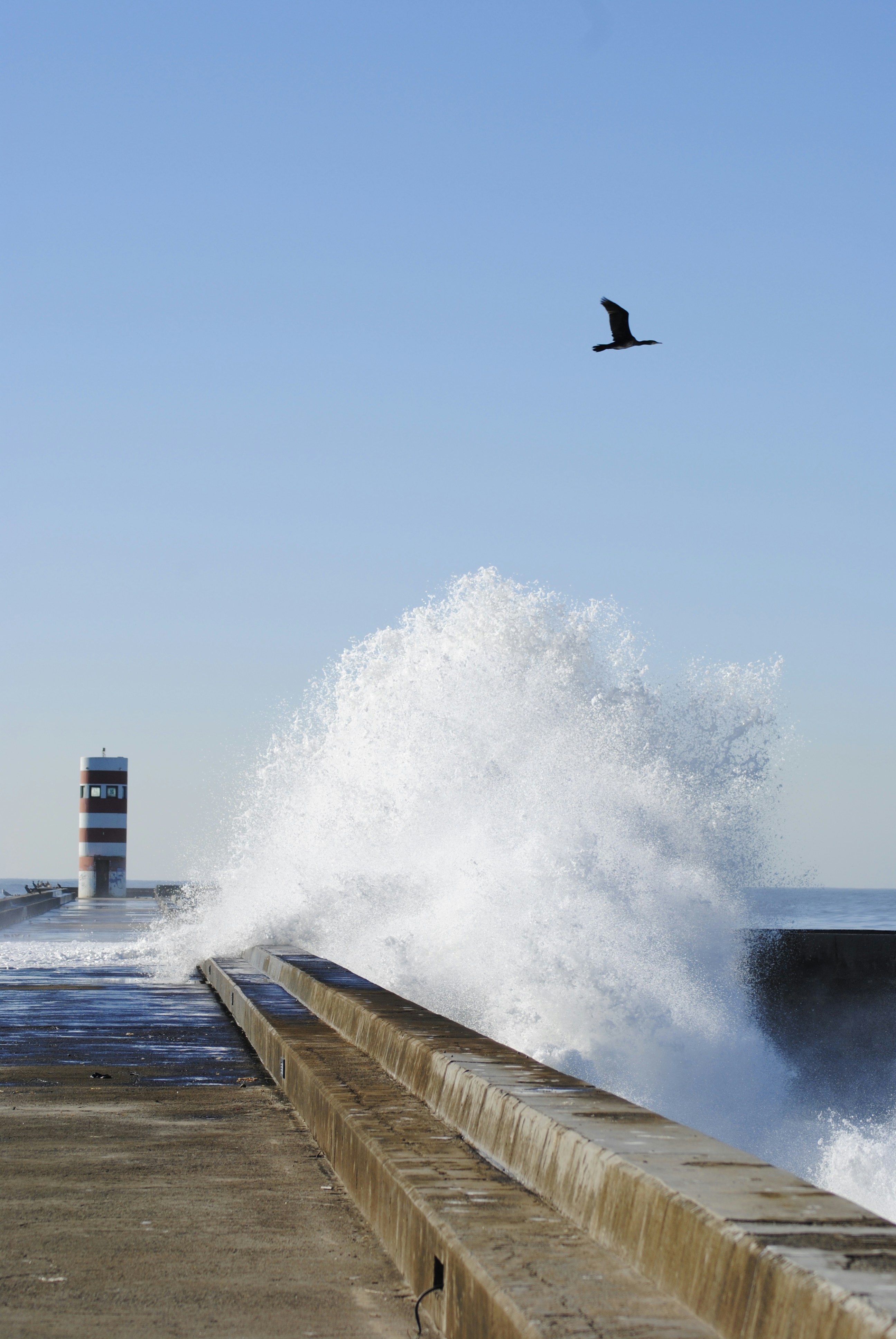 Photo by nathaliamesmo