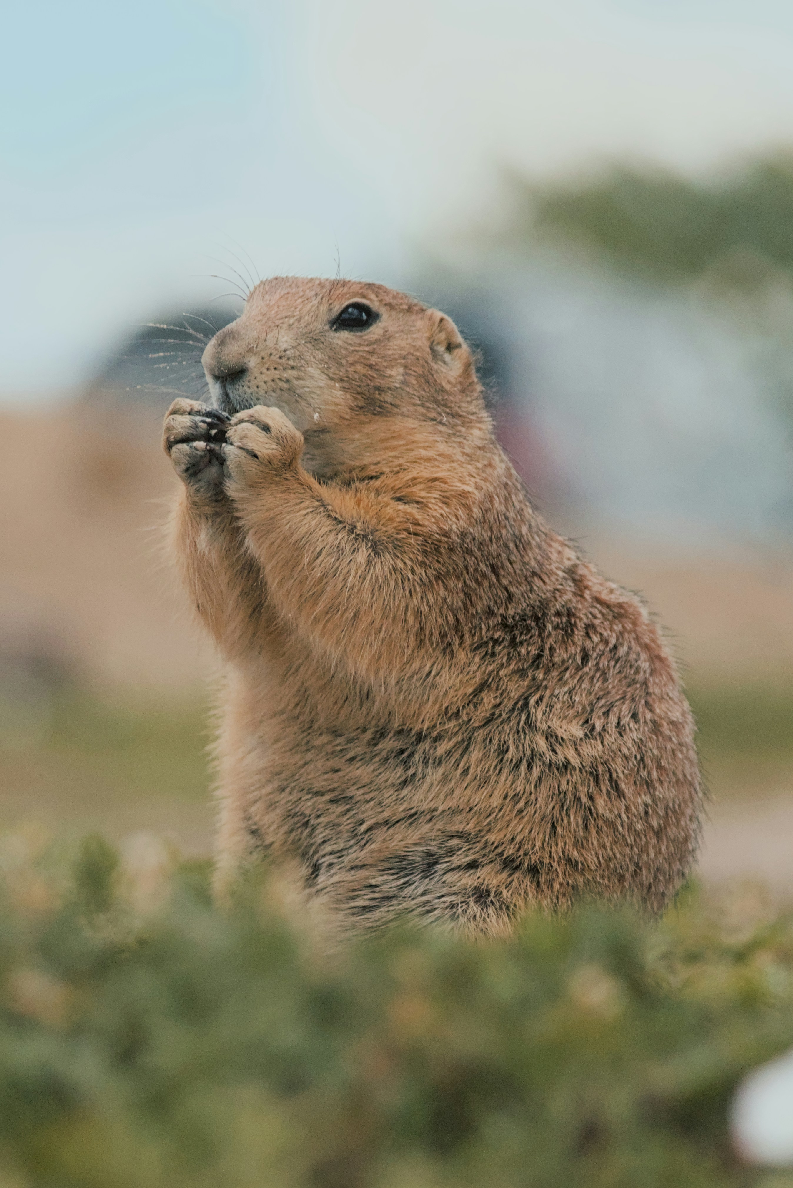 Photo by dcanadianphotographer