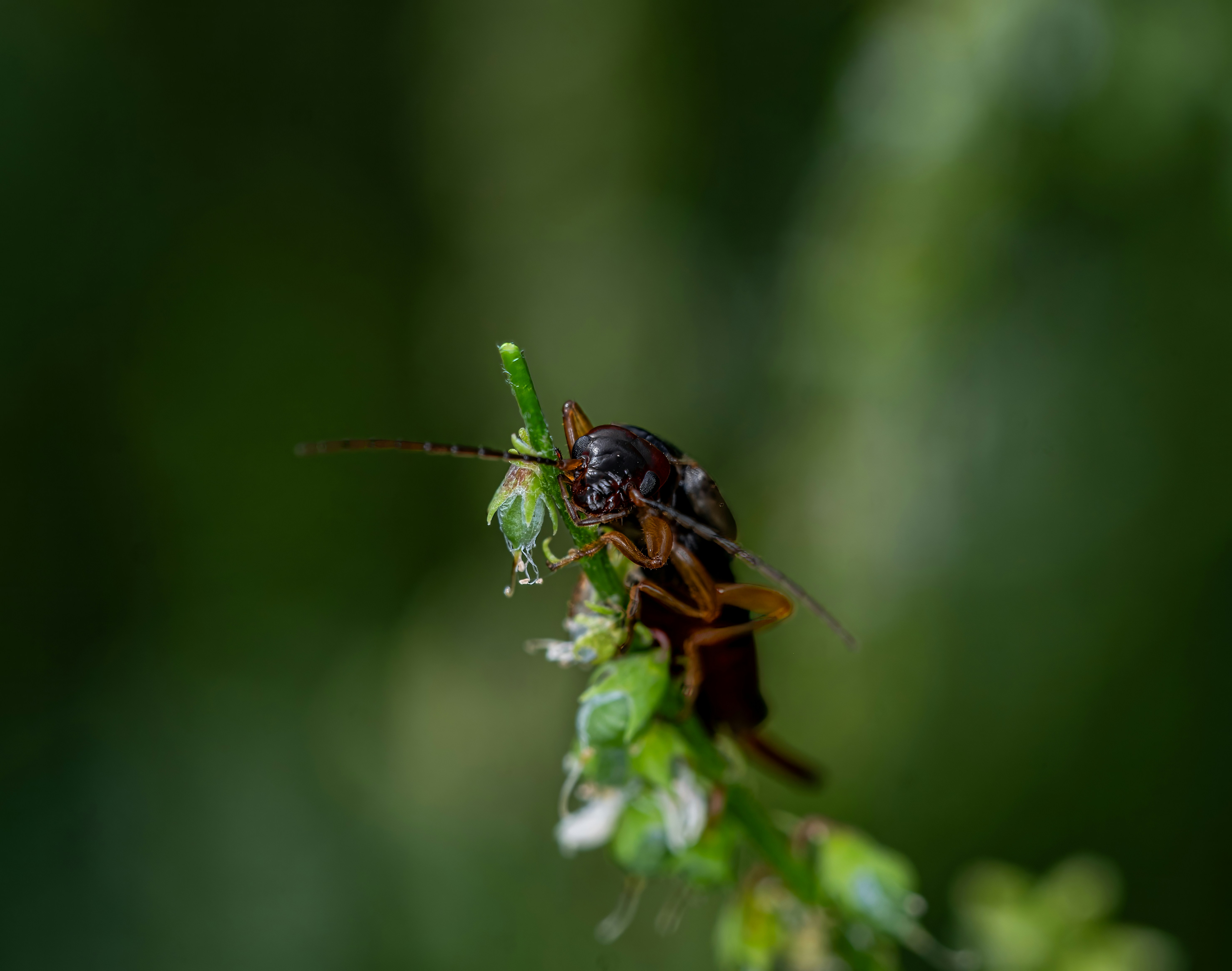 Photo by alexandredaoust