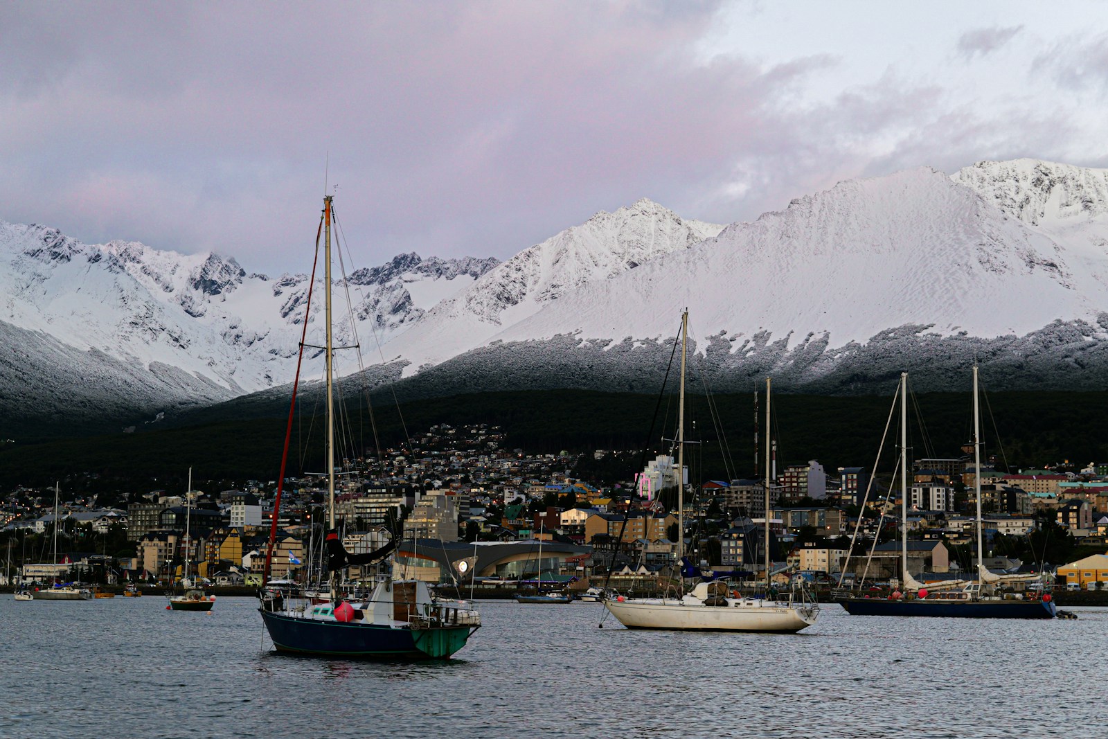 Ushuaia harbour at pink dusk, sailing boats moored in front of the town with a snow-covered mountain ridge behind