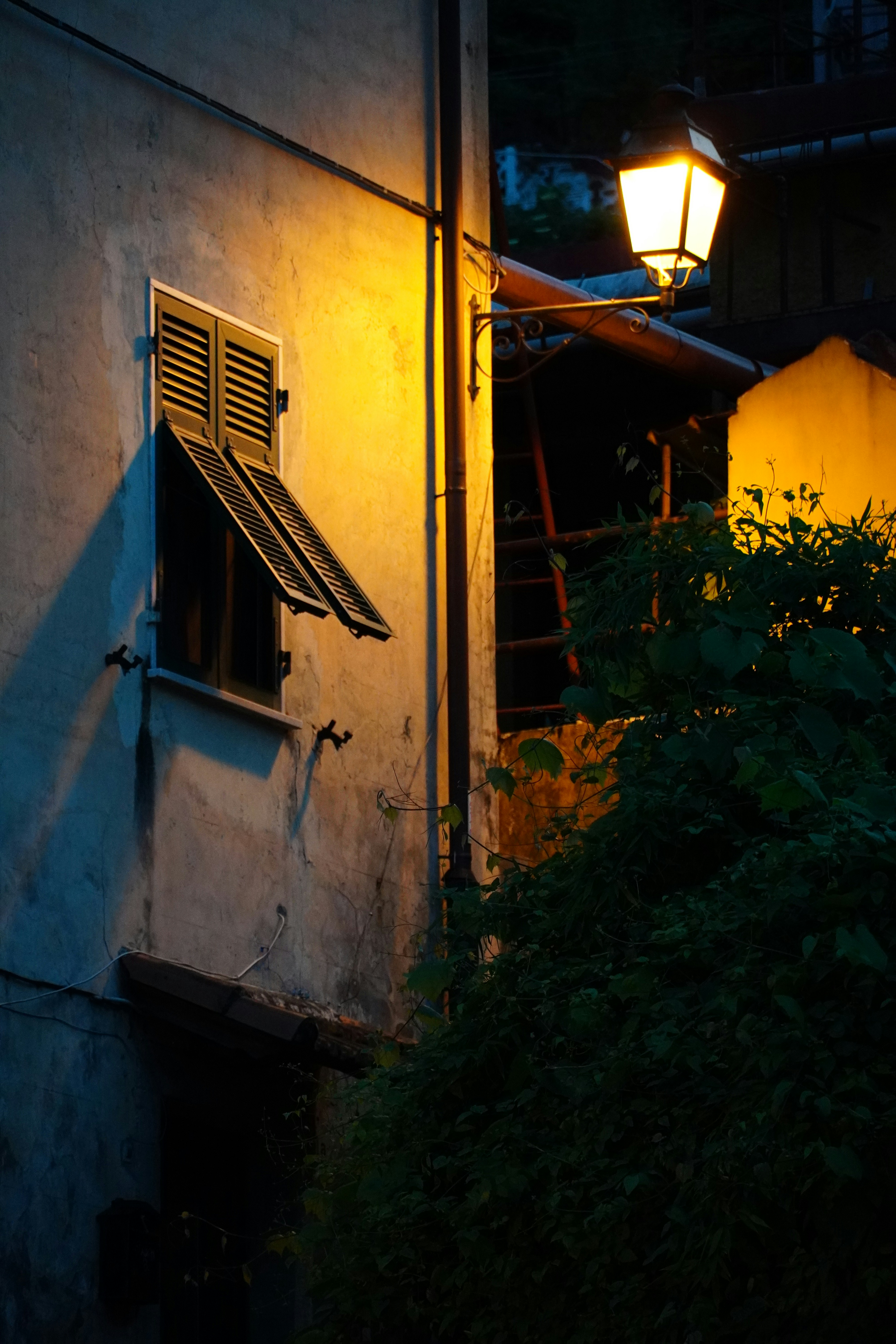 Photo by greenliustudio